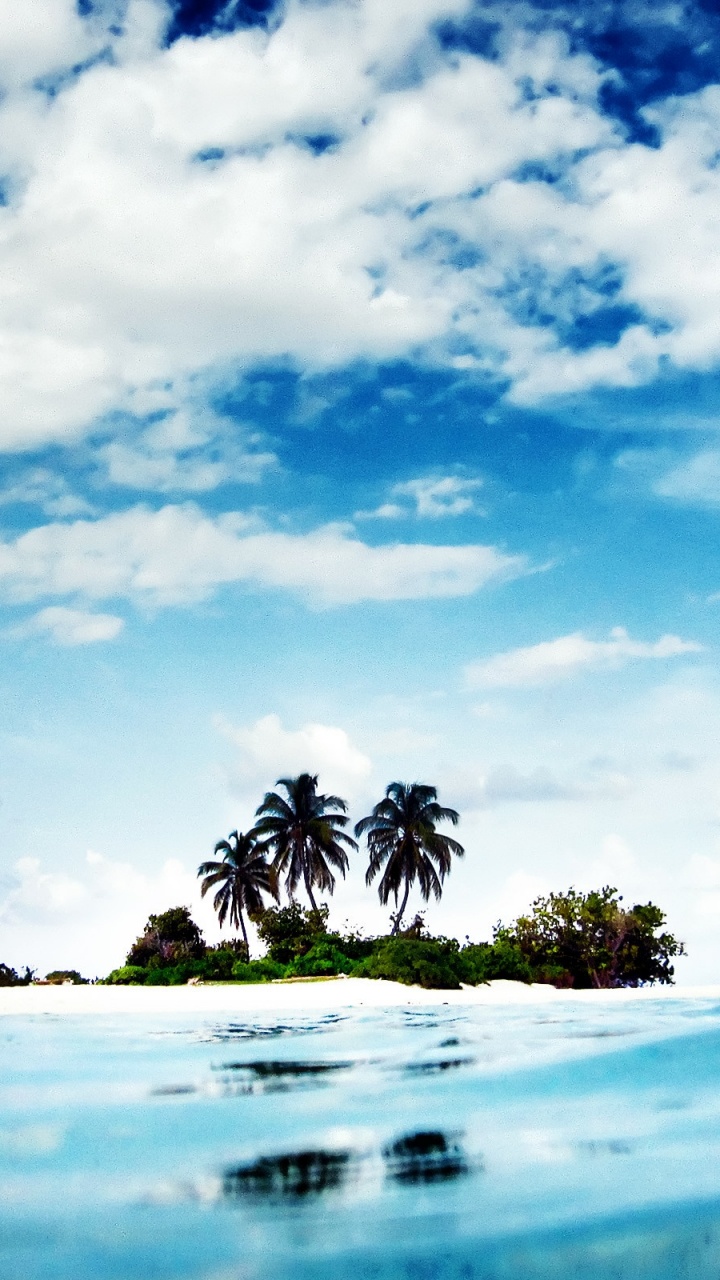 Palmier Sur la Plage Sous Ciel Bleu et Nuages Blancs Pendant la Journée. Wallpaper in 720x1280 Resolution