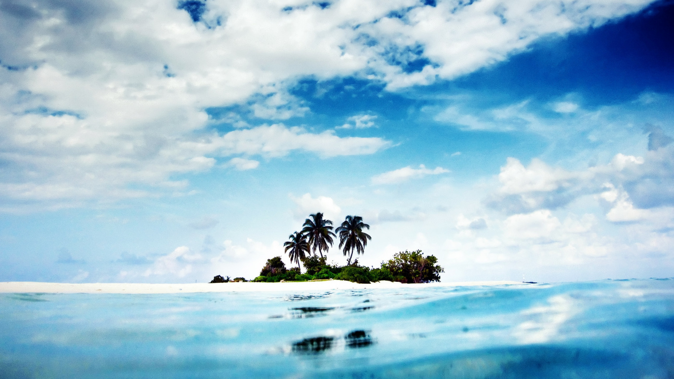 Palmera en la Playa Bajo un Cielo Azul y Nubes Blancas Durante el Día. Wallpaper in 1366x768 Resolution