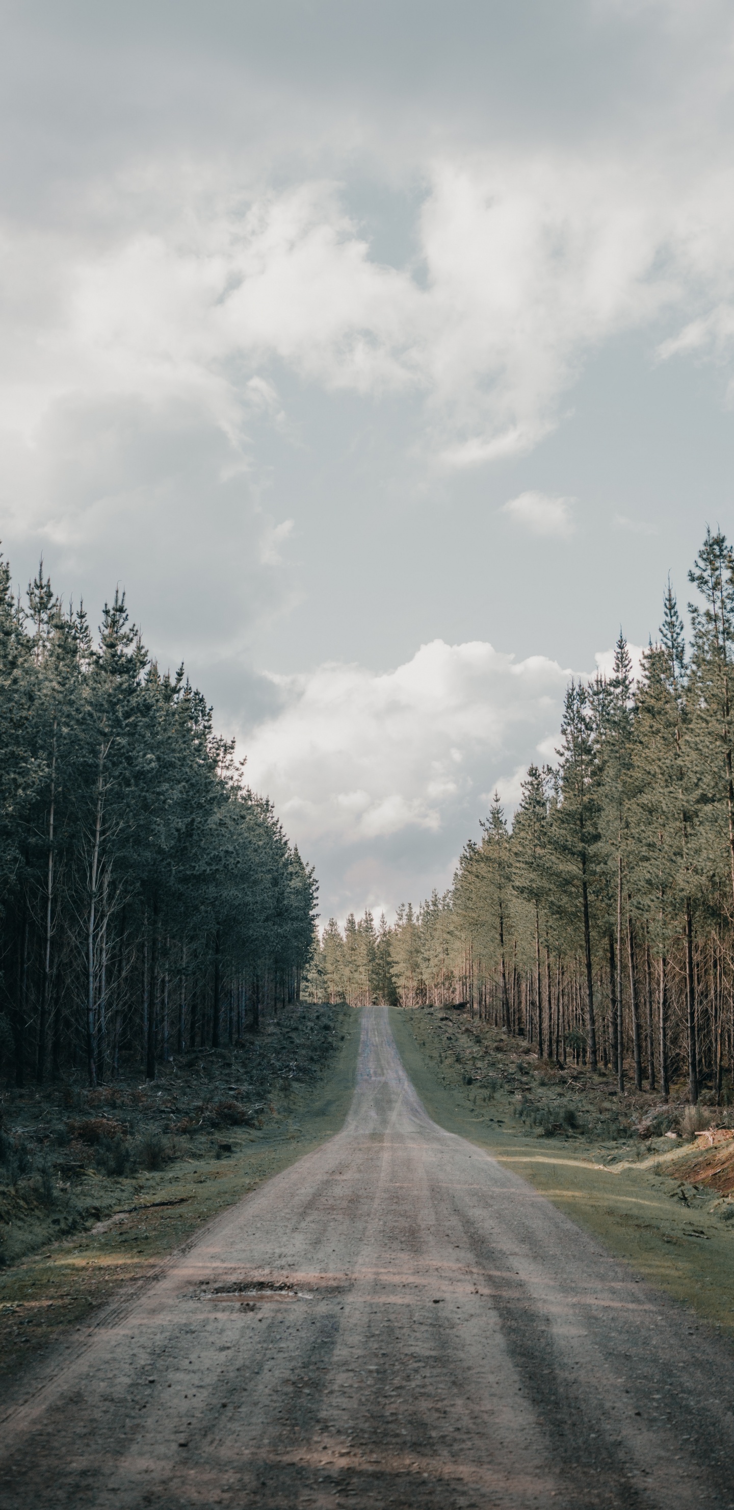 la Superficie de la Carretera, Camino de Tierra, Carretera, Carril, Paisaje Natural. Wallpaper in 1440x2960 Resolution