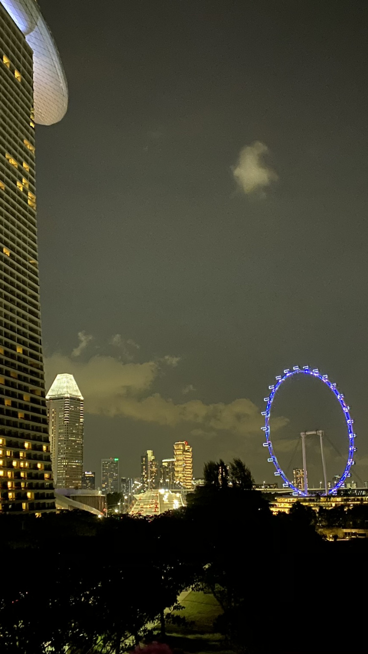 Singapore, Skyscraper, Daytime, Tower Block, Night. Wallpaper in 750x1334 Resolution