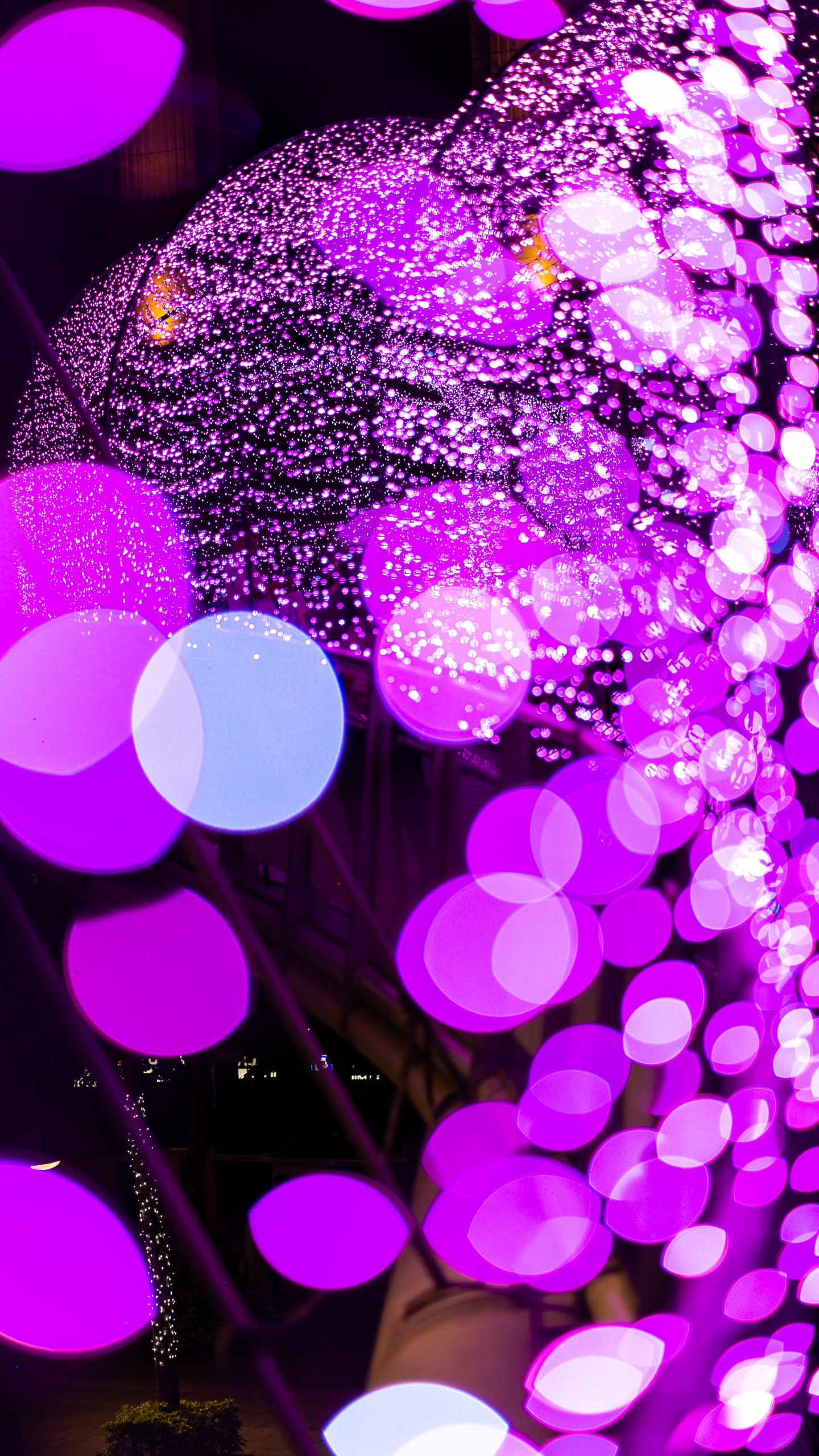 Bokeh de Luz Púrpura y Rosa. Wallpaper in 1440x2560 Resolution