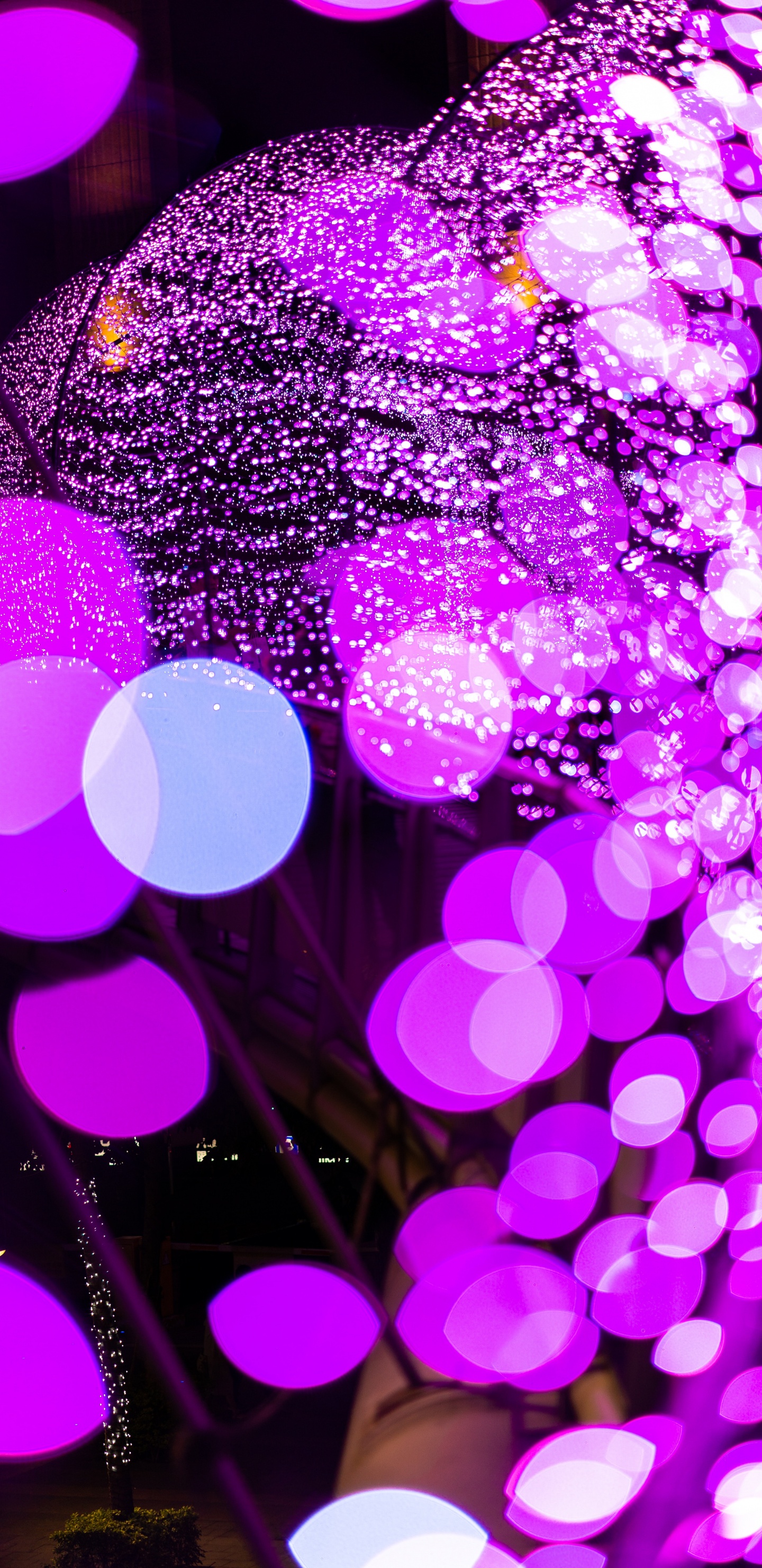 Bokeh de Luz Púrpura y Rosa. Wallpaper in 1440x2960 Resolution