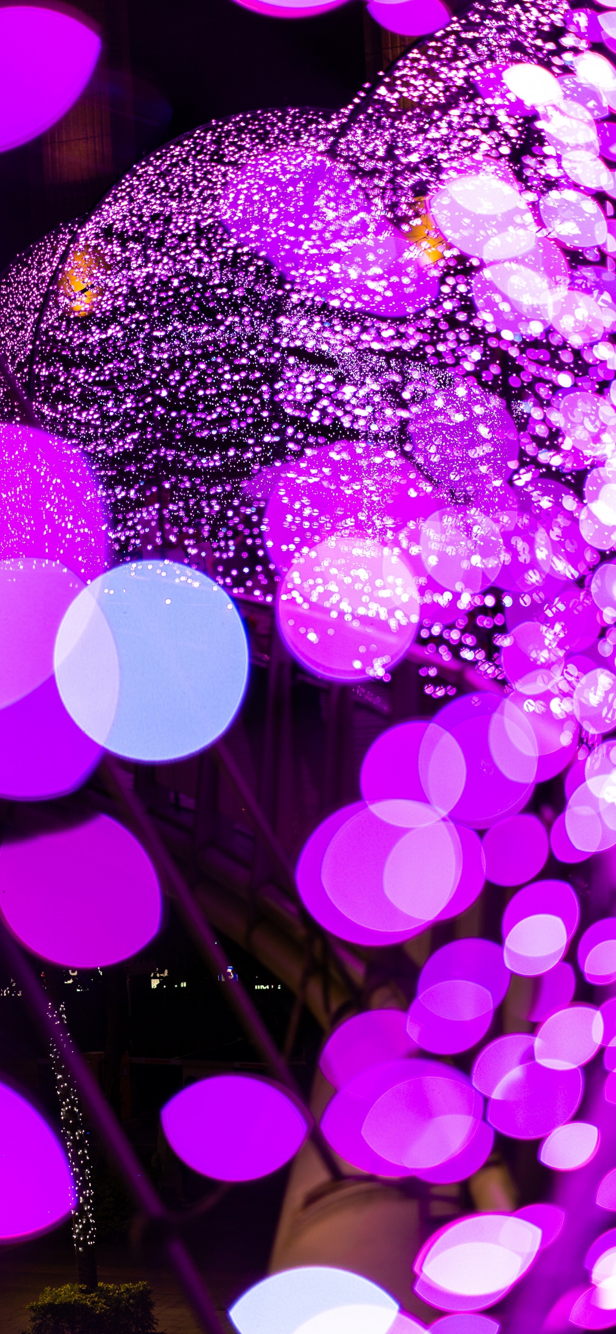 Lila Und Rosa Helles Bokeh. Wallpaper in 1242x2688 Resolution