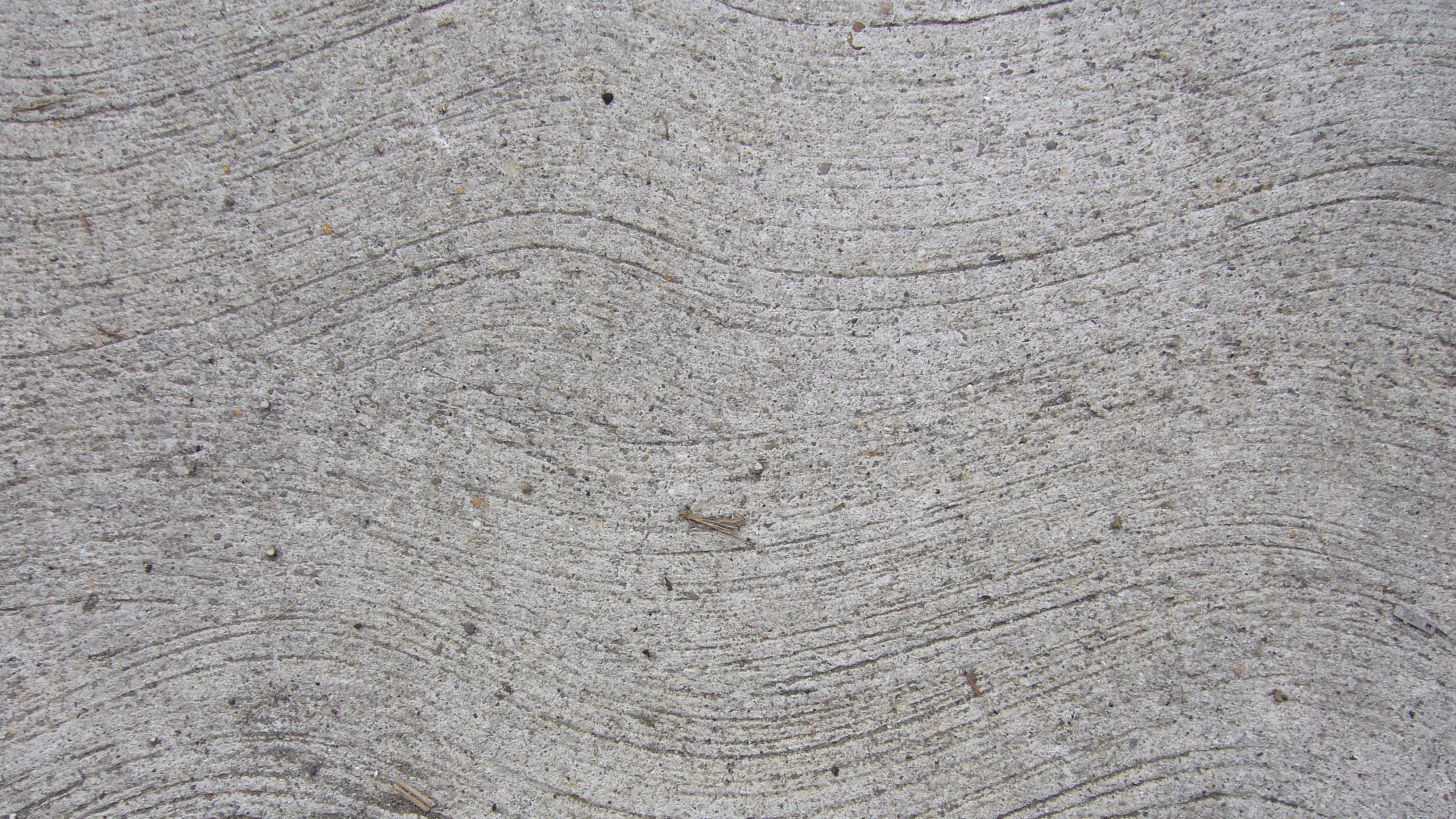 Tablón de Madera Blanco y Negro. Wallpaper in 2560x1440 Resolution