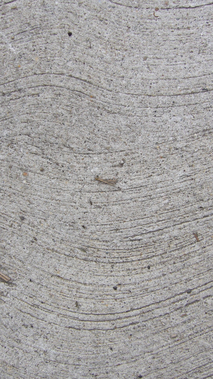 Tablón de Madera Blanco y Negro. Wallpaper in 720x1280 Resolution