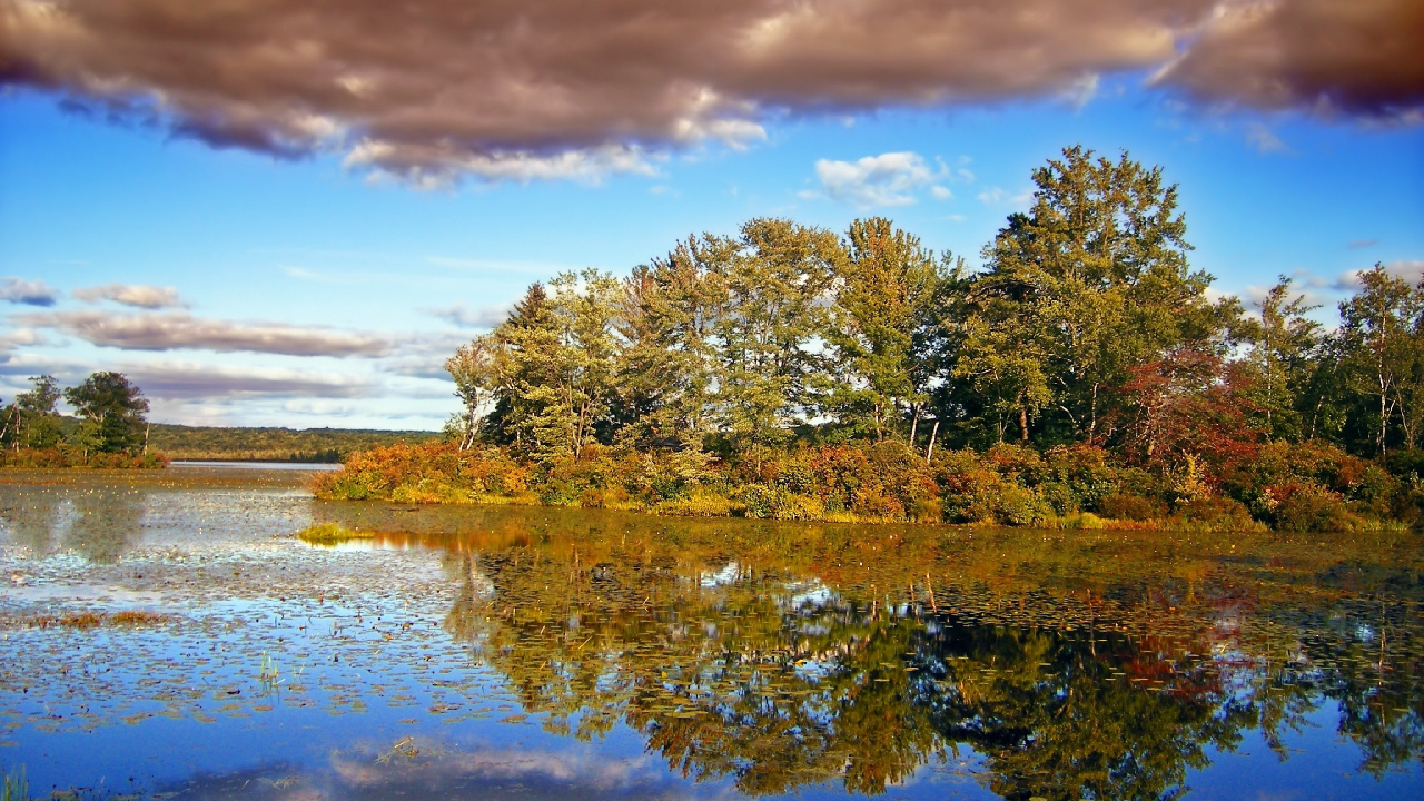 Green Trees Beside Lake Under Blue Sky During Daytime. Wallpaper in 1280x720 Resolution