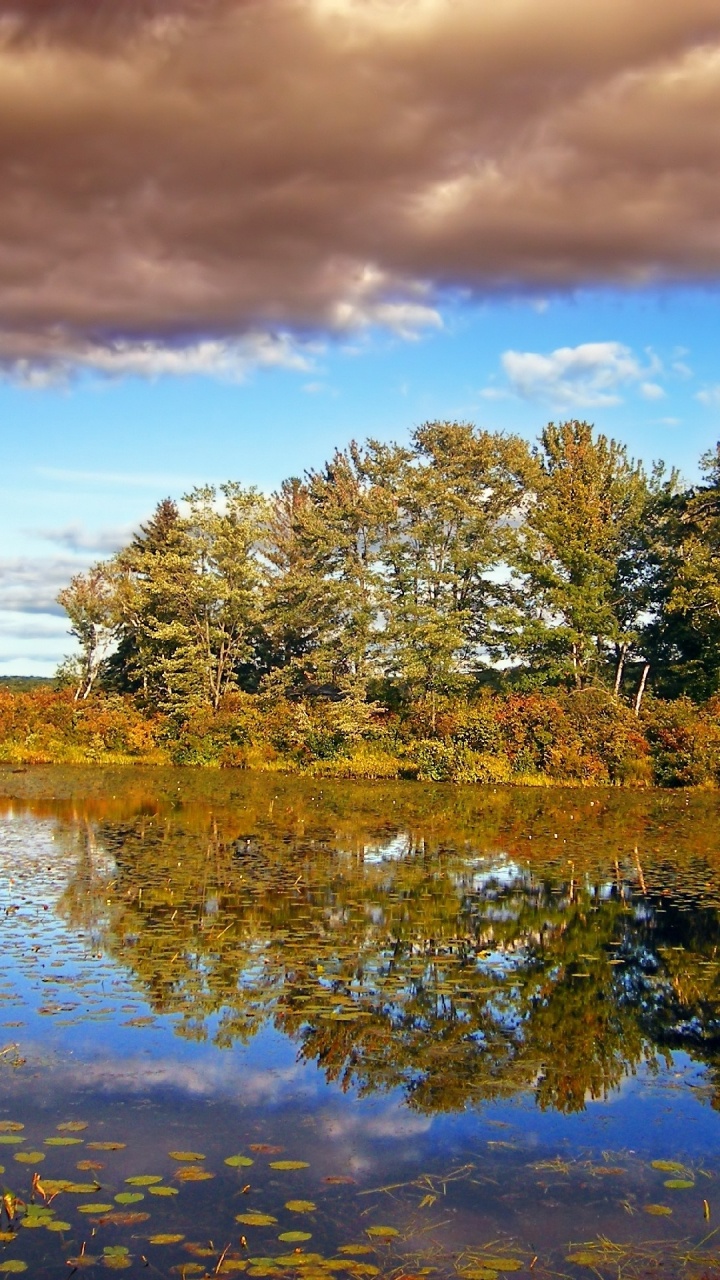 Green Trees Beside Lake Under Blue Sky During Daytime. Wallpaper in 720x1280 Resolution