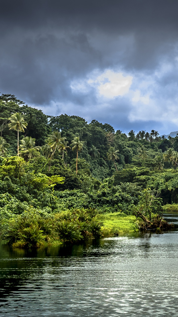 Árboles Verdes Junto al Río Bajo un Cielo Nublado Durante el Día. Wallpaper in 720x1280 Resolution