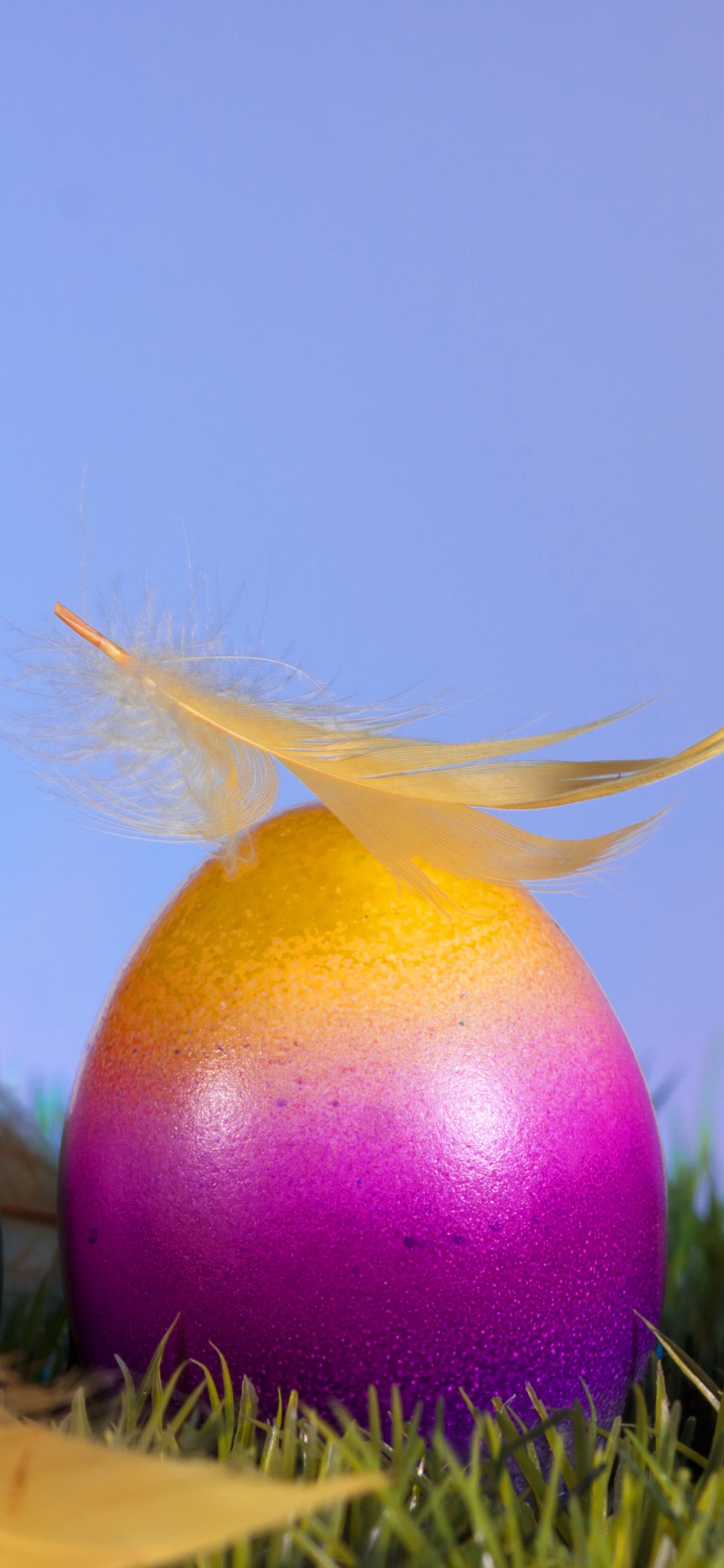 Ostern, Osterei, Ei. Wallpaper in 1242x2688 Resolution