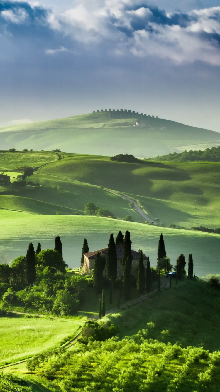 Green Grass Field Under Blue Sky During Daytime. Wallpaper in 750x1334 Resolution