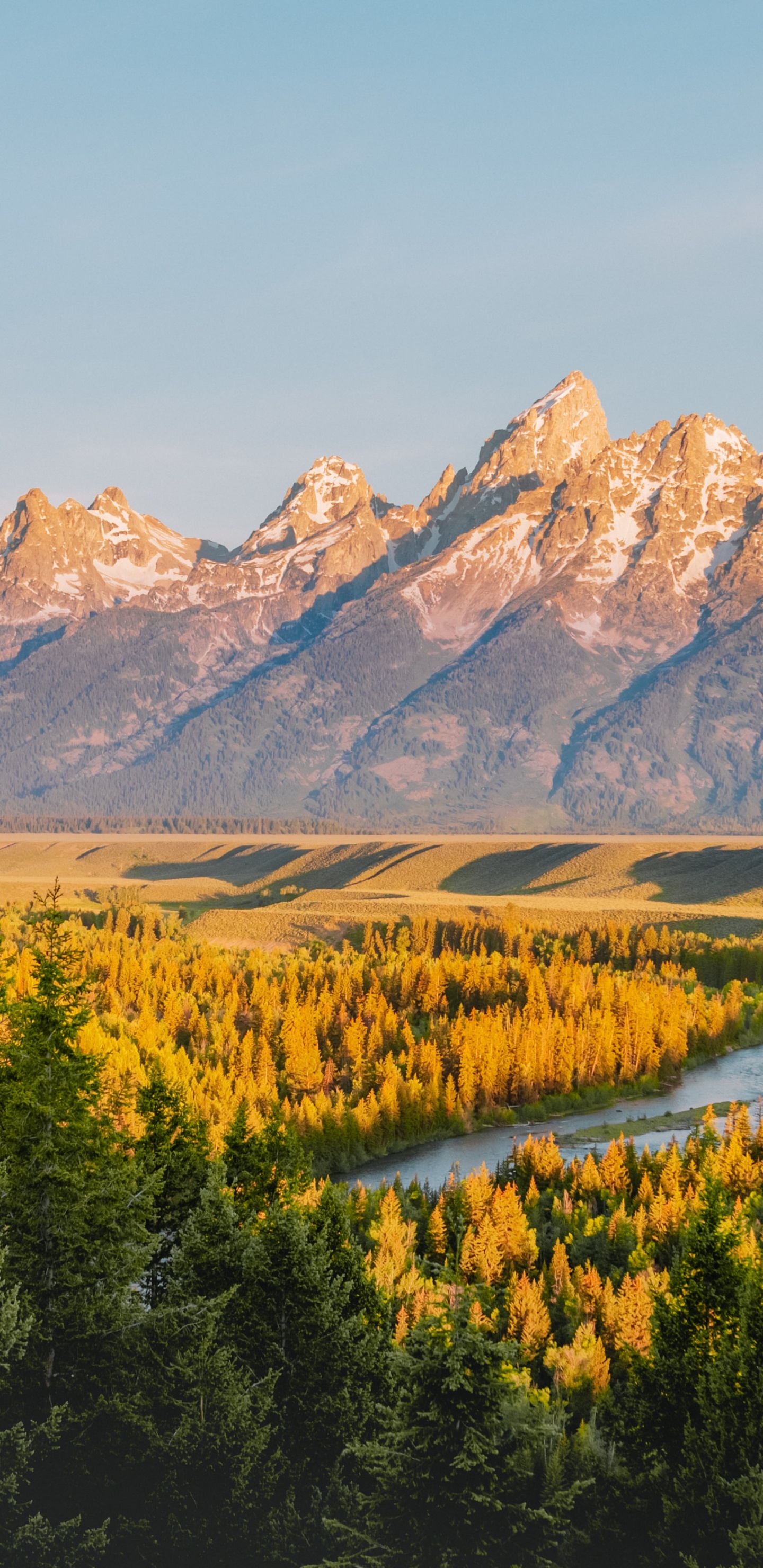 Grand Teton National Park, Grand Teton, Yellowstone National Park, National Park, Park. Wallpaper in 1440x2960 Resolution