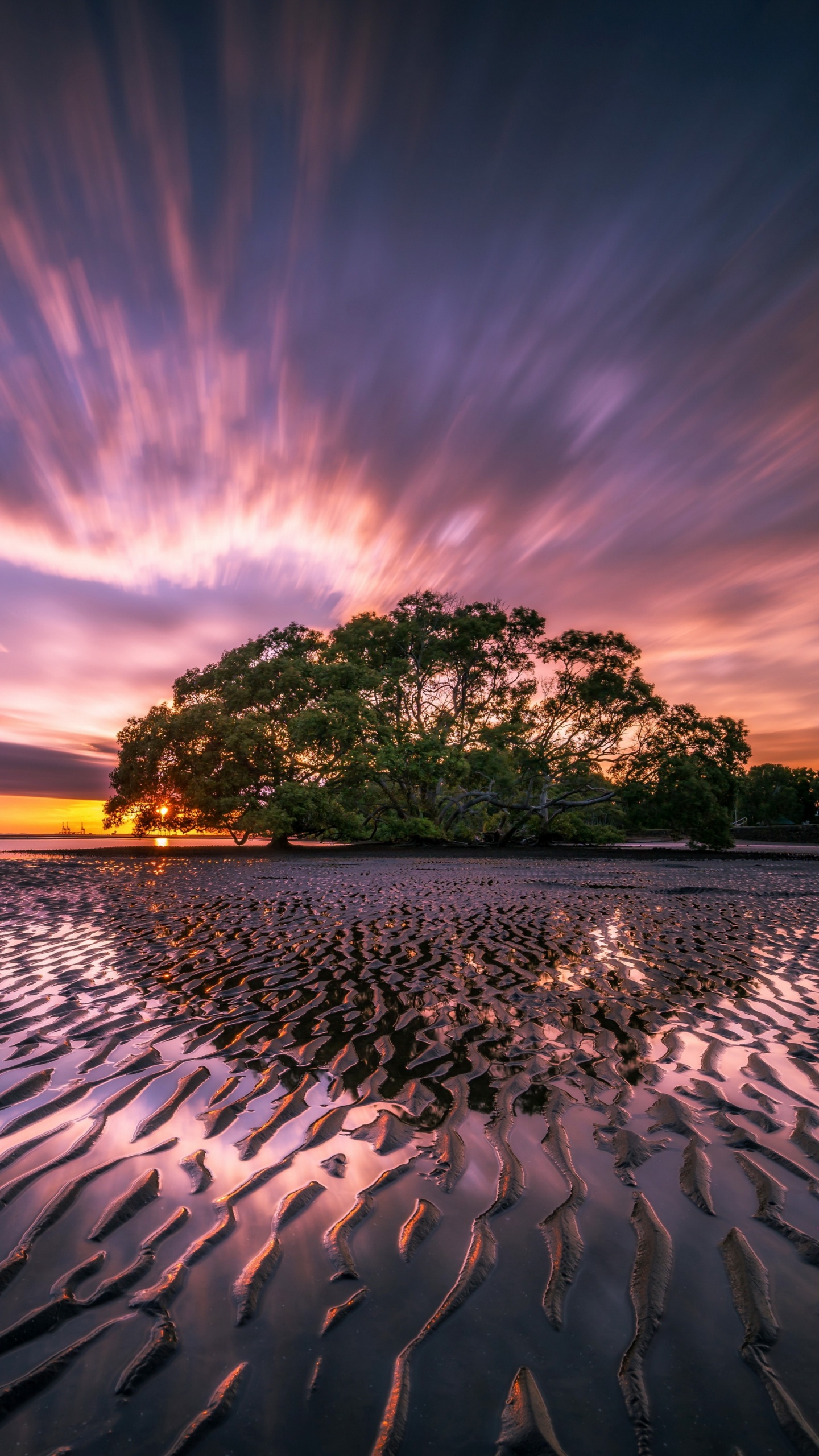 安卓, 智能手机, 气氛, 生态区, 余辉 壁纸 1440x2560 允许