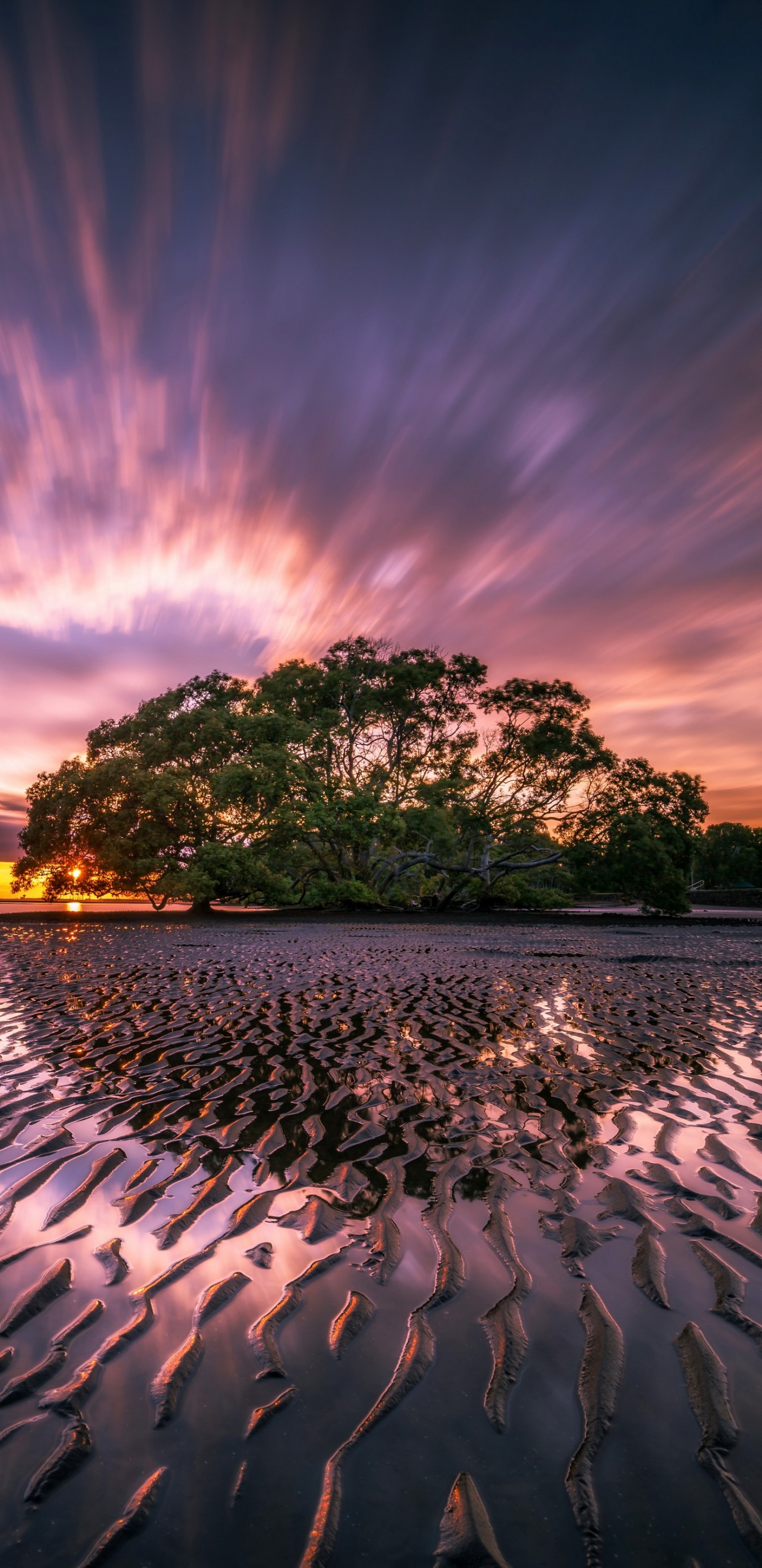 安卓, 智能手机, 气氛, 生态区, 余辉 壁纸 1440x2960 允许