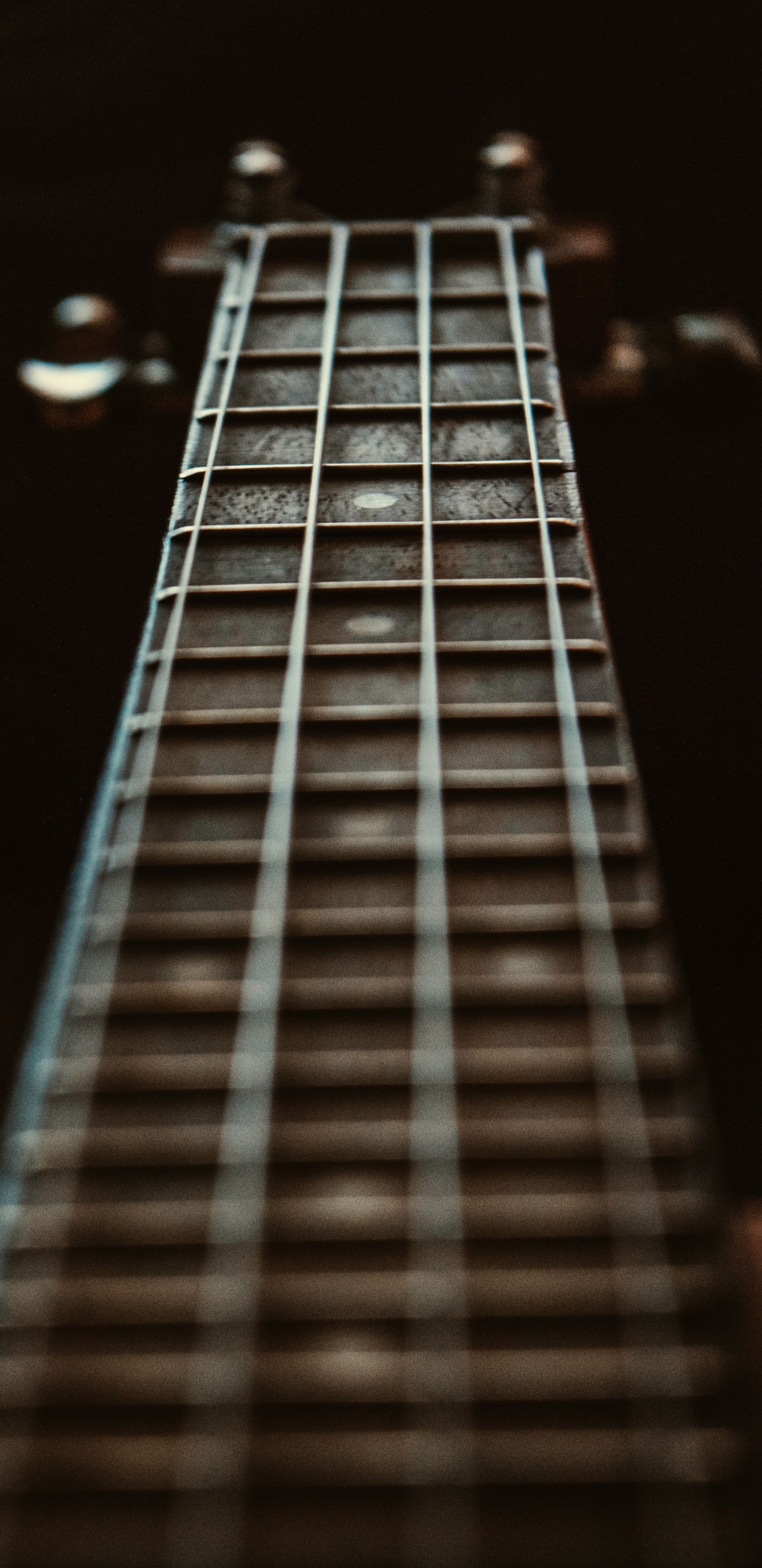 Guitar, Acoustic Guitar, Fret, Bass Guitar, String. Wallpaper in 1440x2960 Resolution