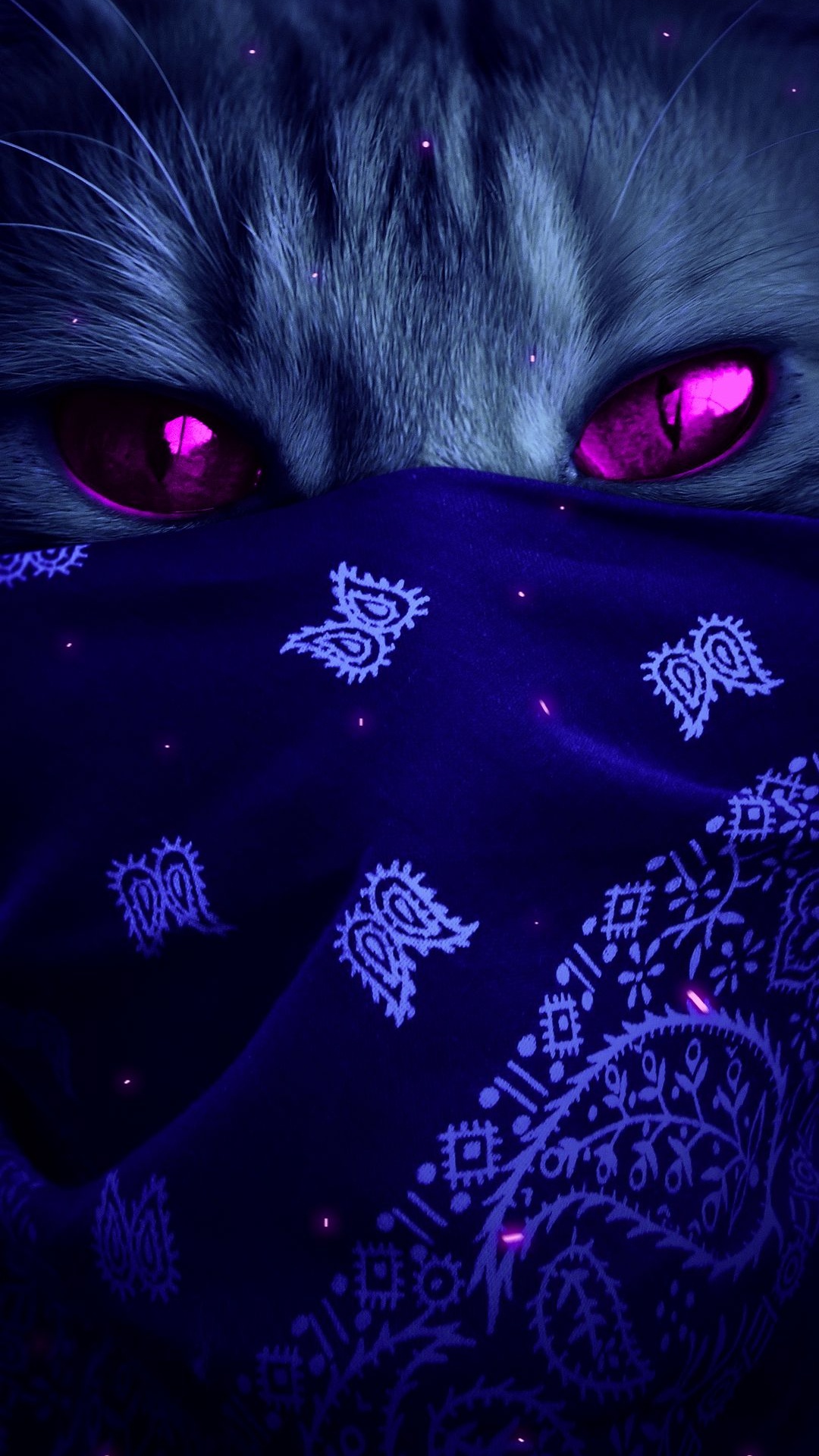 Katze, Purpur, Carnivore, Veilchen, Magenta. Wallpaper in 1080x1920 Resolution