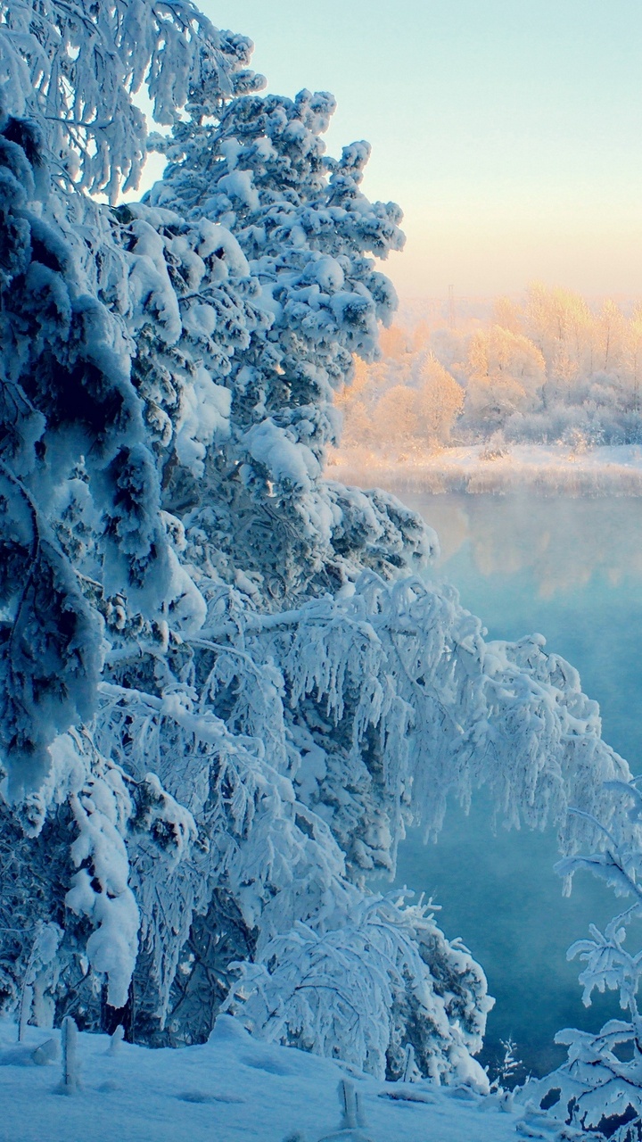 Arbres Couverts de Neige et Route Pendant la Journée. Wallpaper in 720x1280 Resolution