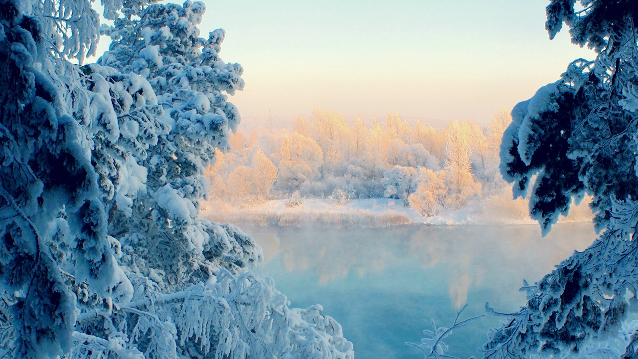 Snow Covered Trees and Road During Daytime. Wallpaper in 1280x720 Resolution