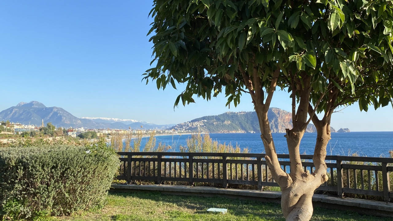 Ciencia, Biología, Naturaleza, la Botánica, la Vegetación. Wallpaper in 1280x720 Resolution