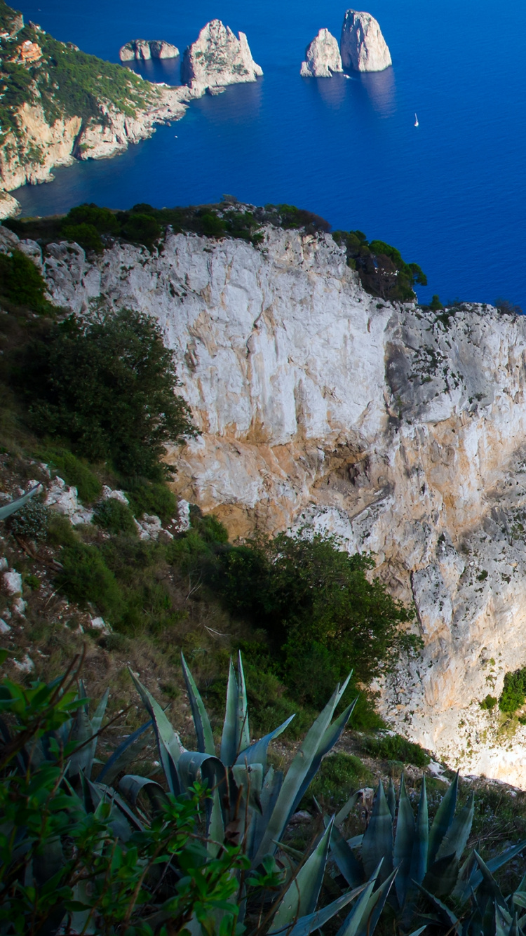 White and Green Rock Formation Near Blue Sea During Daytime. Wallpaper in 750x1334 Resolution