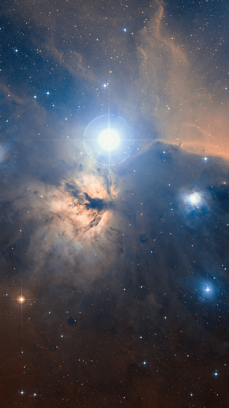 猎户座星云, Orion, 外层空间, 天文学对象, 气氛 壁纸 750x1334 允许