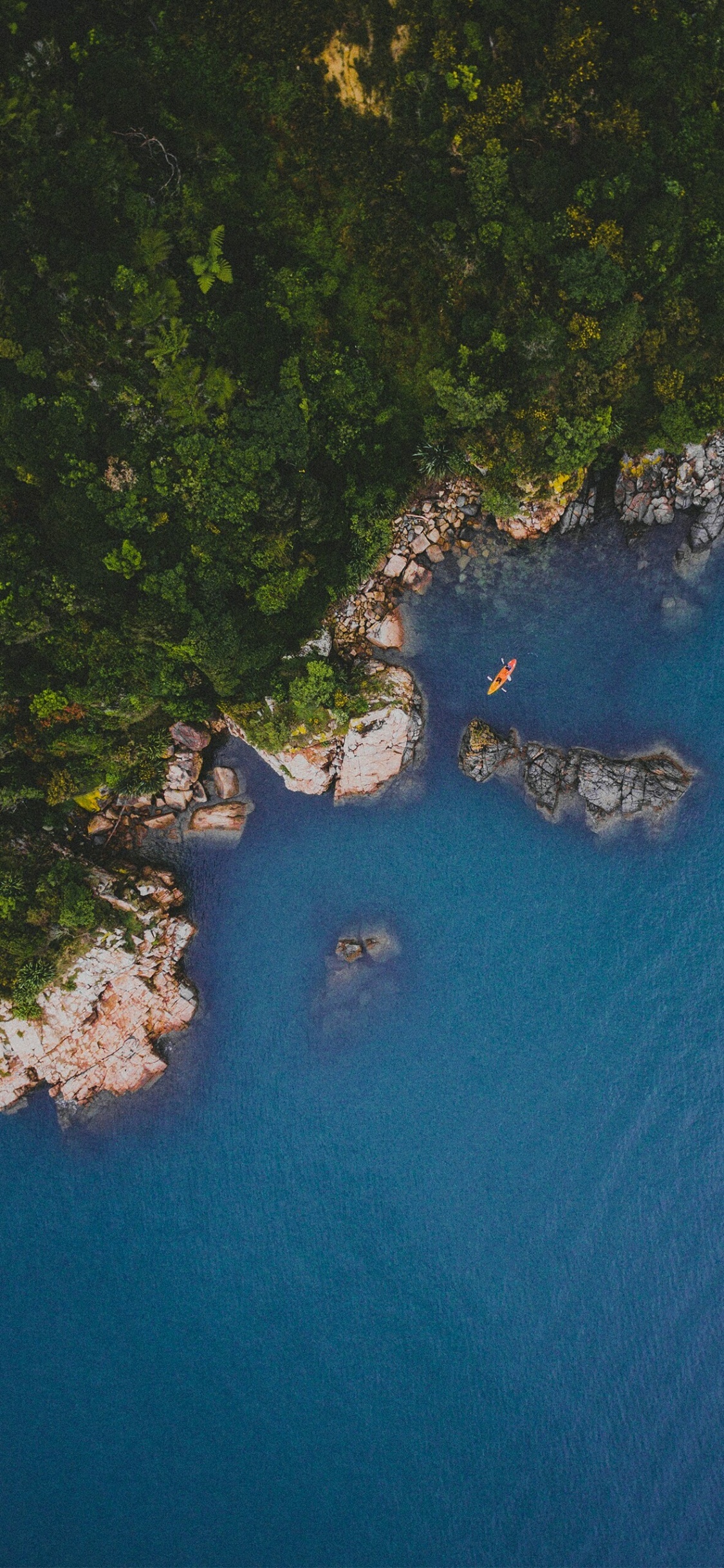 Water Resources, Television, Water, Plant, Natural Landscape. Wallpaper in 1125x2436 Resolution