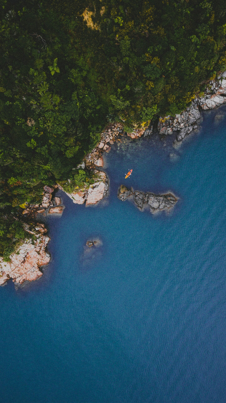 Water Resources, Television, Water, Plant, Natural Landscape. Wallpaper in 750x1334 Resolution