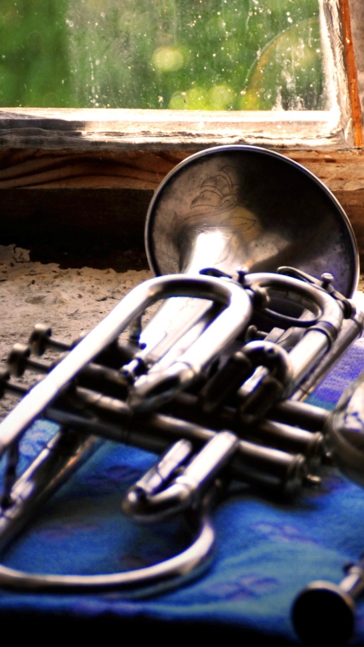 Euphonium, Trumpet, Brass Instrument, Mellophone, Wind Instrument. Wallpaper in 720x1280 Resolution