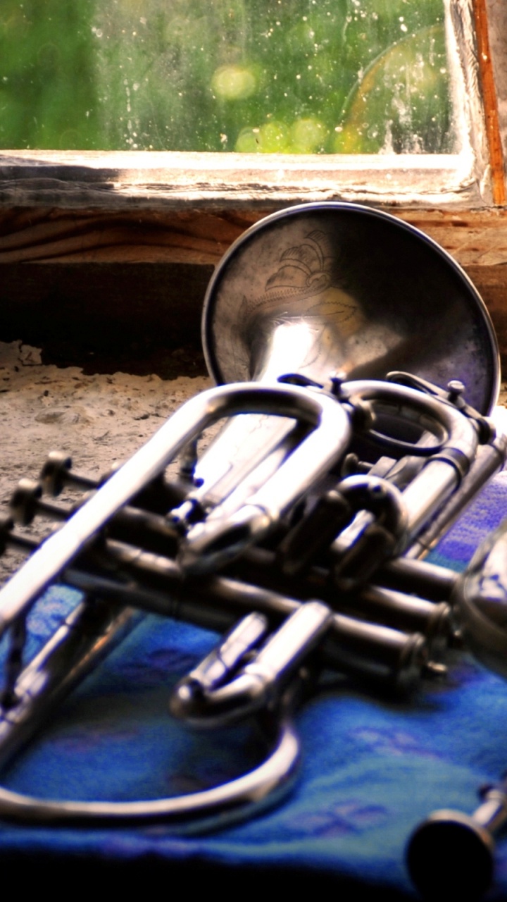 Euphonium, Trompette, Instrument de Cuivre, Mellophone, Instrument à Vent. Wallpaper in 720x1280 Resolution