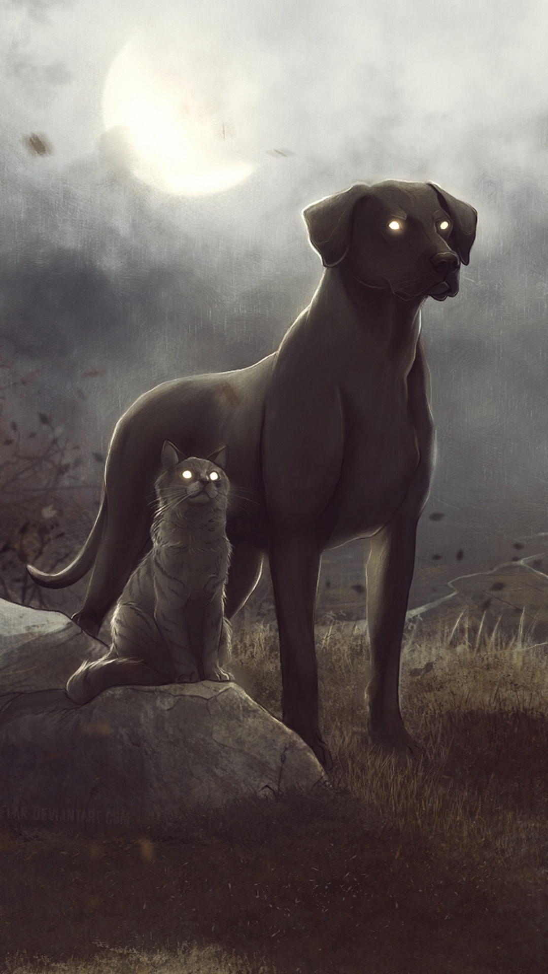 2 Gray Dogs on Brown Grass Field. Wallpaper in 1080x1920 Resolution