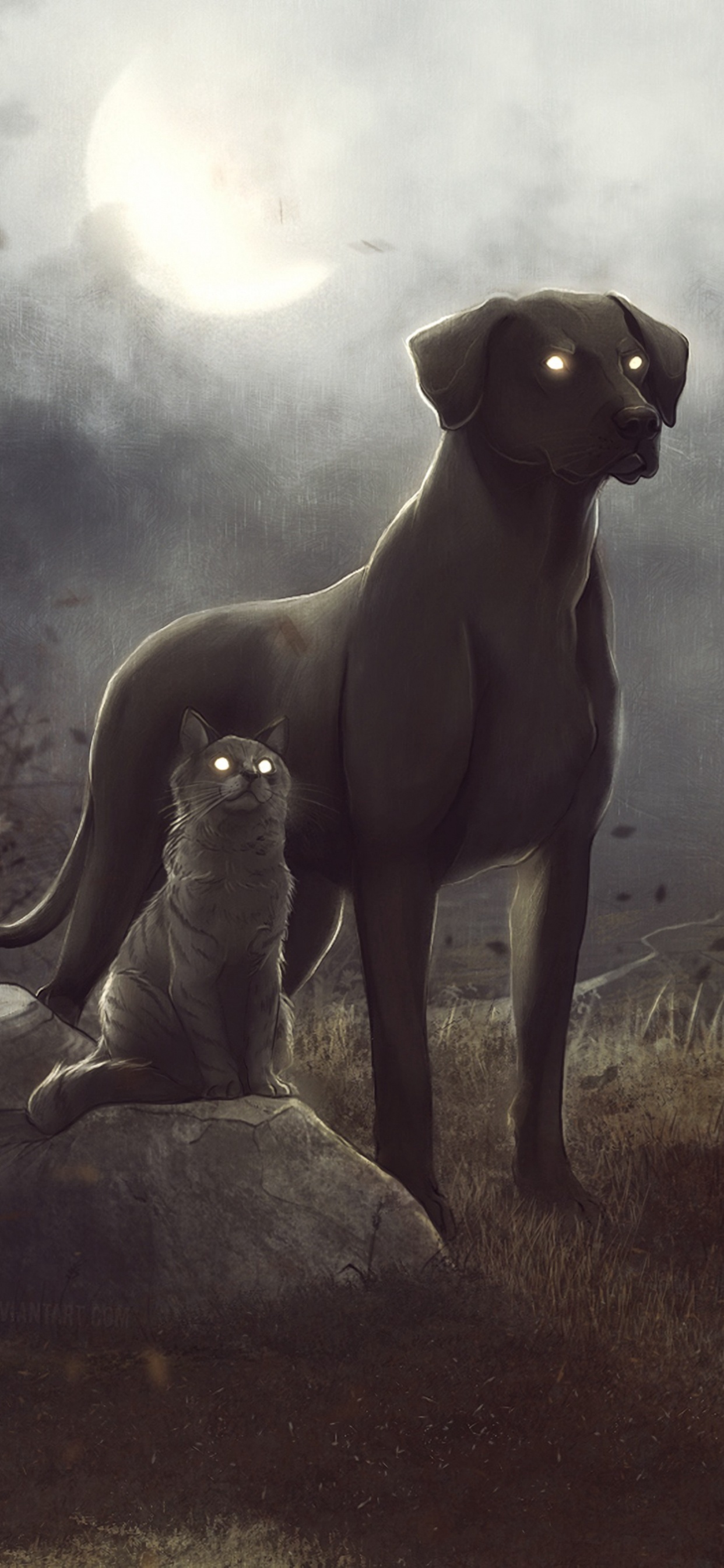 2 Gray Dogs on Brown Grass Field. Wallpaper in 1242x2688 Resolution