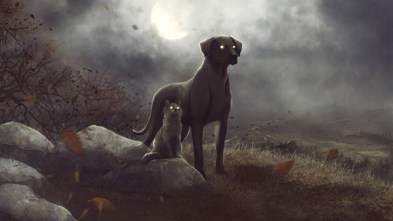 2 Gray Dogs on Brown Grass Field. Wallpaper in 1366x768 Resolution