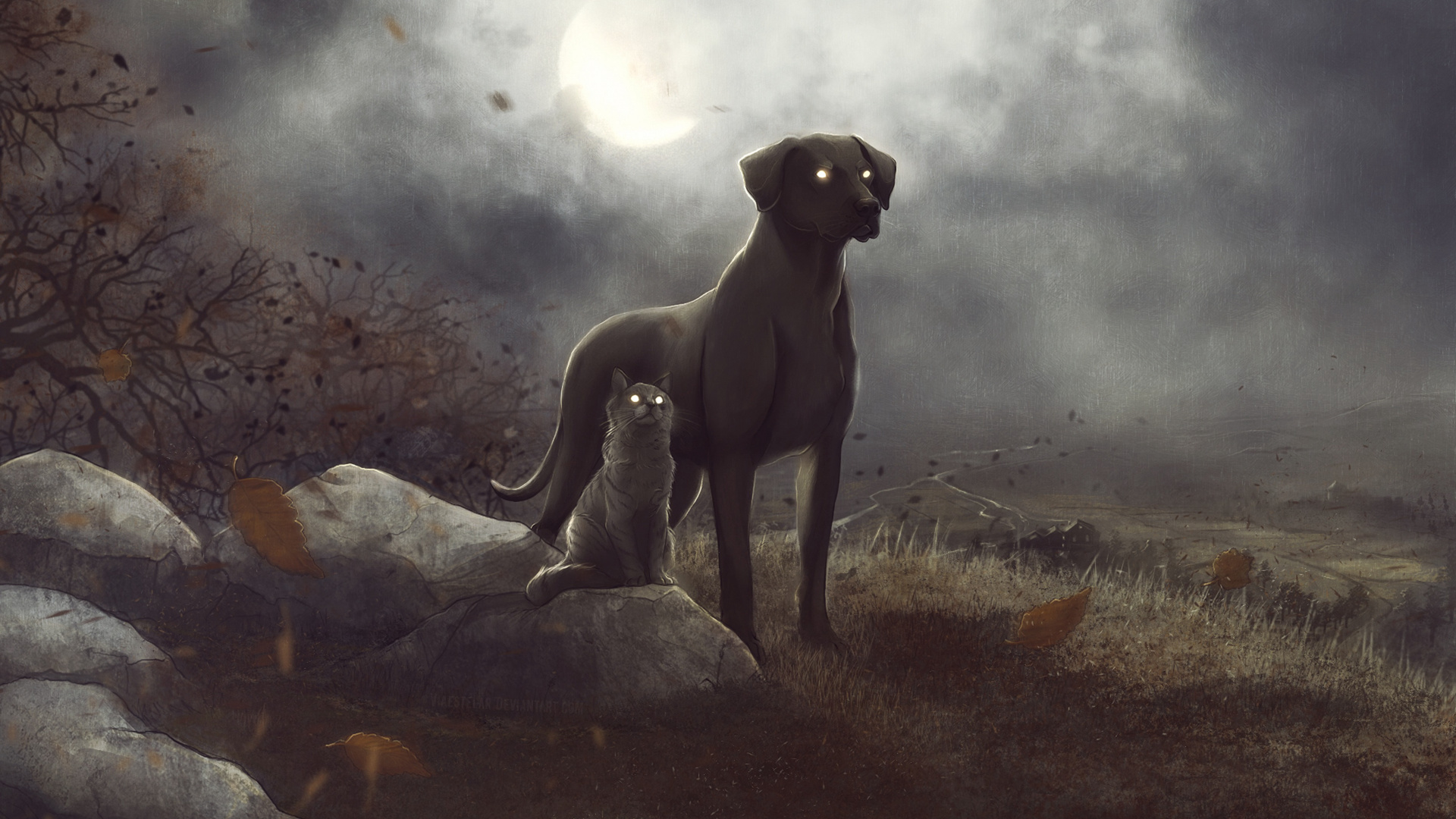 2 Gray Dogs on Brown Grass Field. Wallpaper in 1920x1080 Resolution