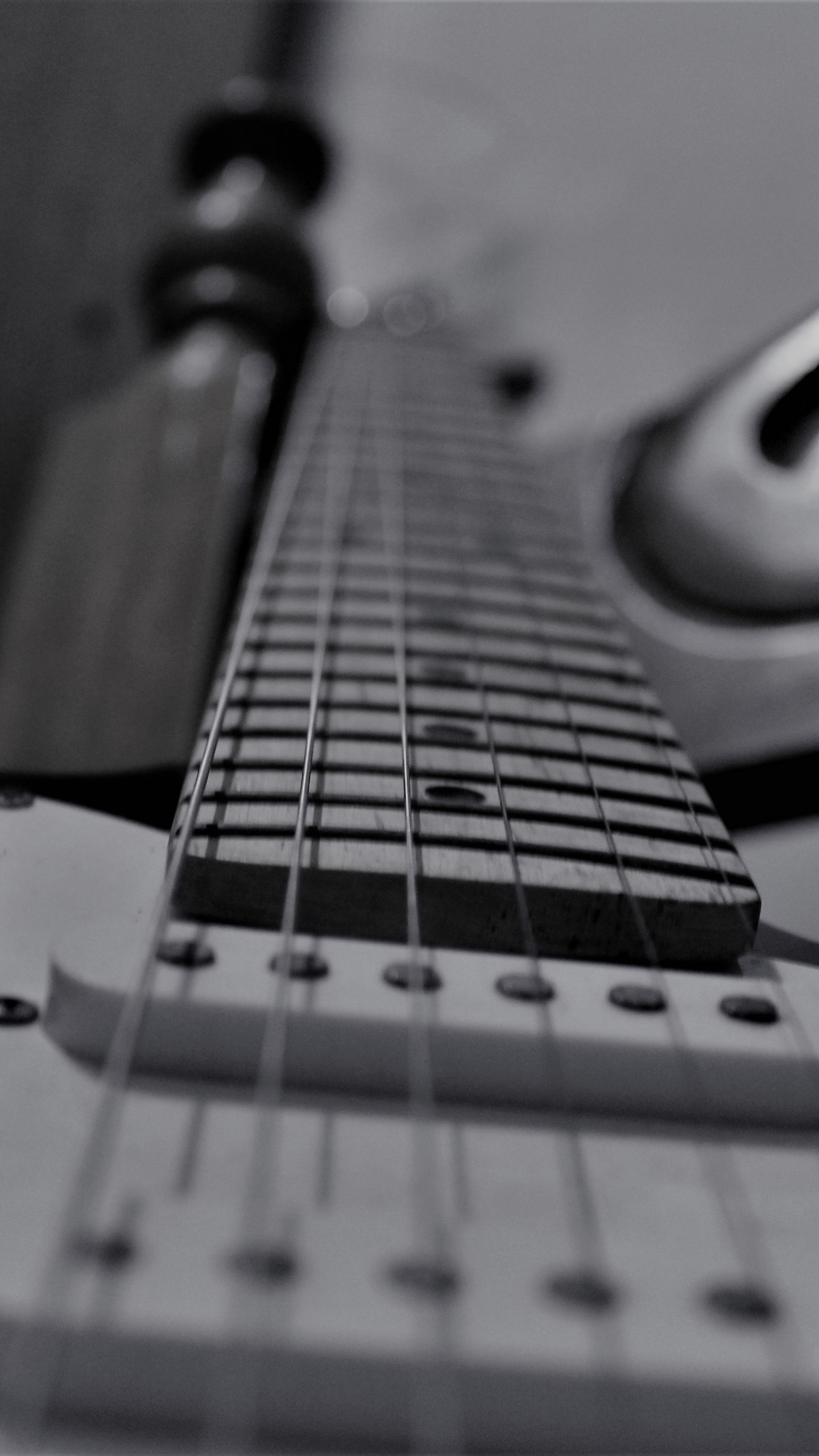 Bass Guitar, en Blanco y Negro, Guitarra Eléctrica, Guitarra, Instrumento de Cuerda. Wallpaper in 1440x2560 Resolution