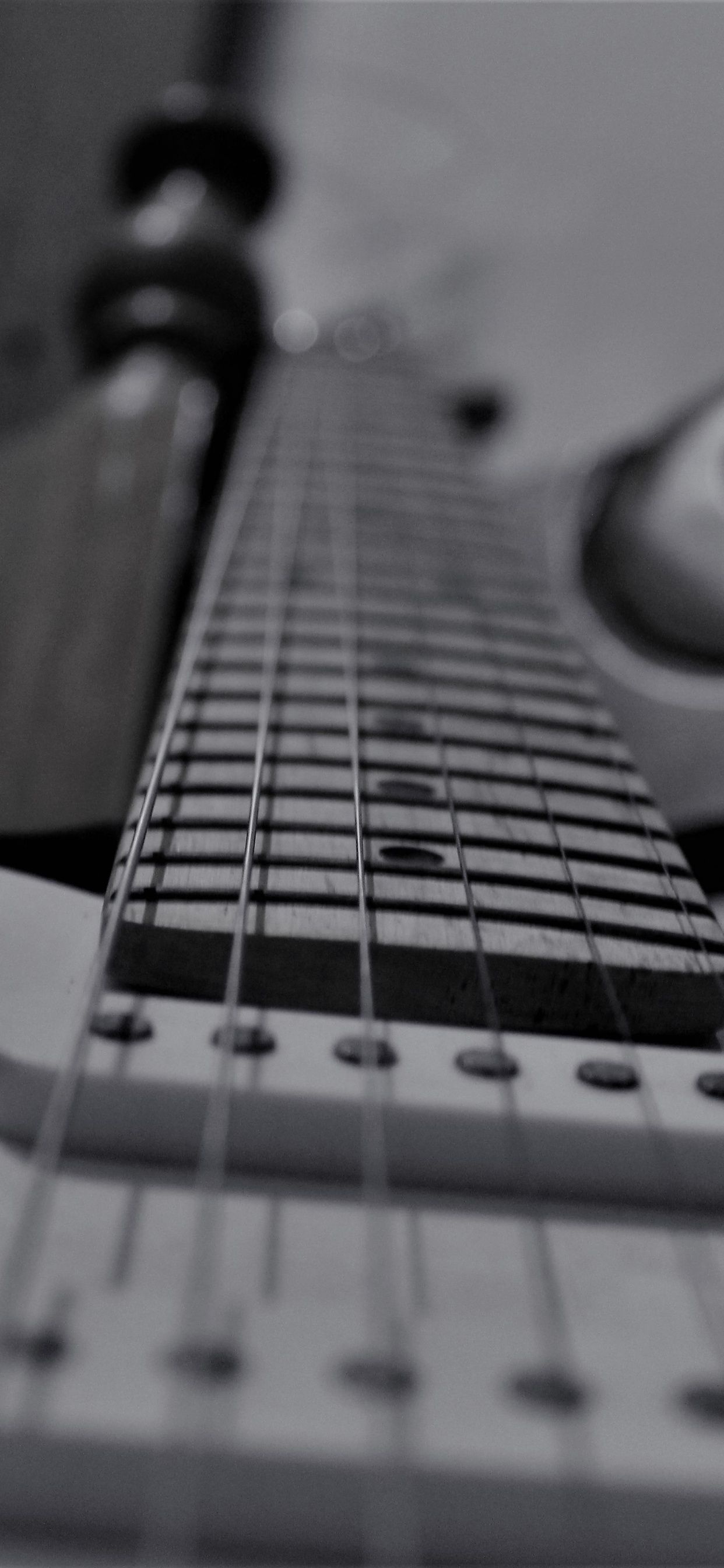 Bass Guitar, Black and White, Electric Guitar, Guitar, String Instrument. Wallpaper in 1242x2688 Resolution