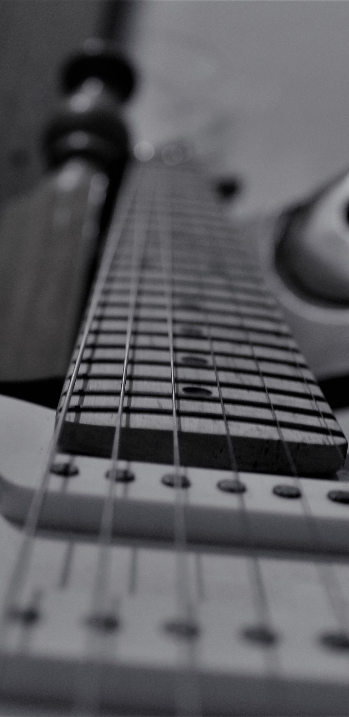 Bass Guitar, Black and White, Electric Guitar, Guitar, String Instrument. Wallpaper in 1440x2960 Resolution