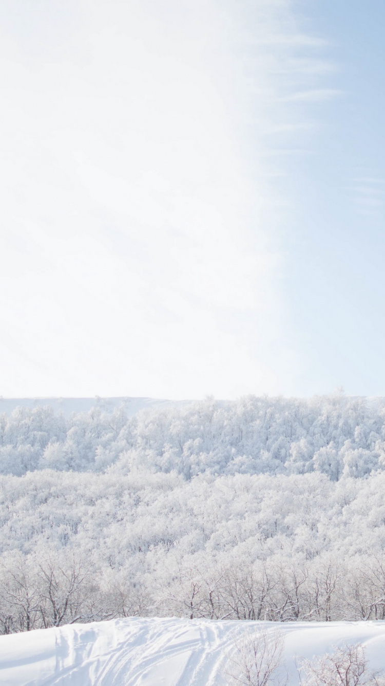Snow Covered Trees Under Blue Sky During Daytime. Wallpaper in 750x1334 Resolution