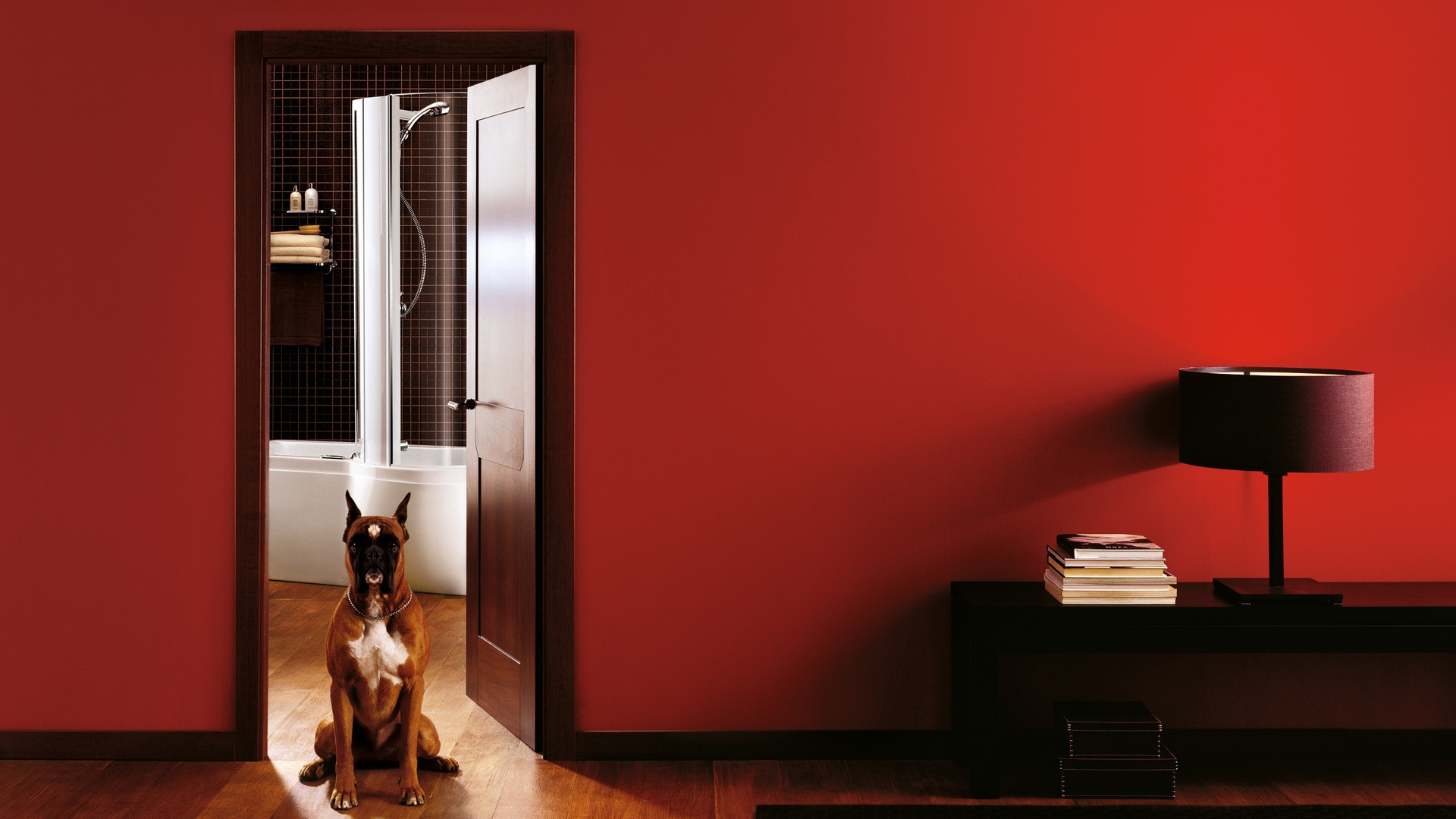 Brauner, Kurzhaariger Hund, Der Auf Braunem Holzboden Sitzt. Wallpaper in 1920x1080 Resolution