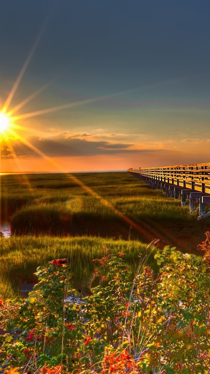 Pont en Bois Brun Au-dessus du Champ D'herbe Verte Pendant la Journée. Wallpaper in 720x1280 Resolution