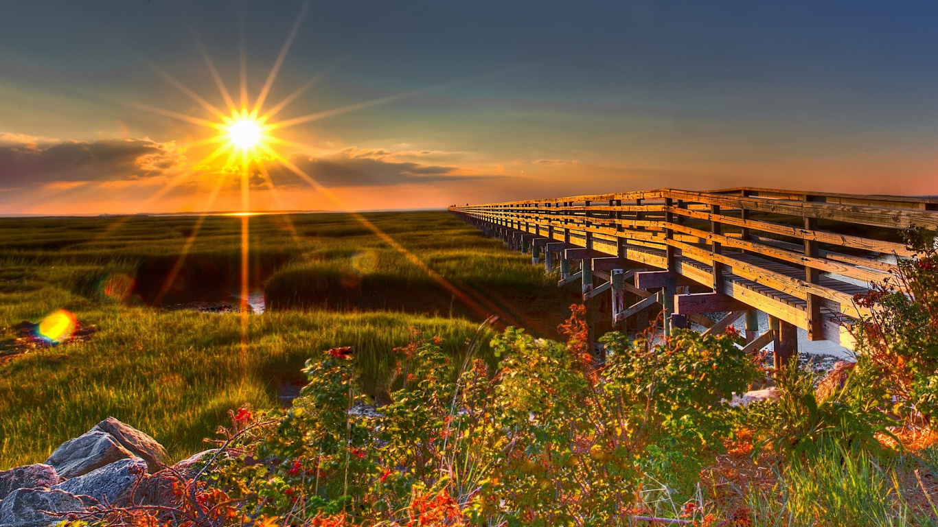 Brown Wooden Bridge Over Green Grass Field During Daytime. Wallpaper in 1366x768 Resolution