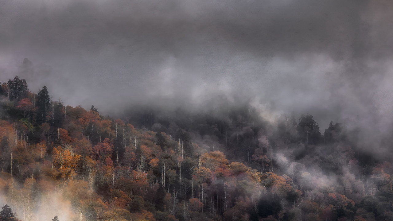 Ambiente, Ecorregión, Paisaje Natural, la Luz Del Sol, Highland. Wallpaper in 1280x720 Resolution