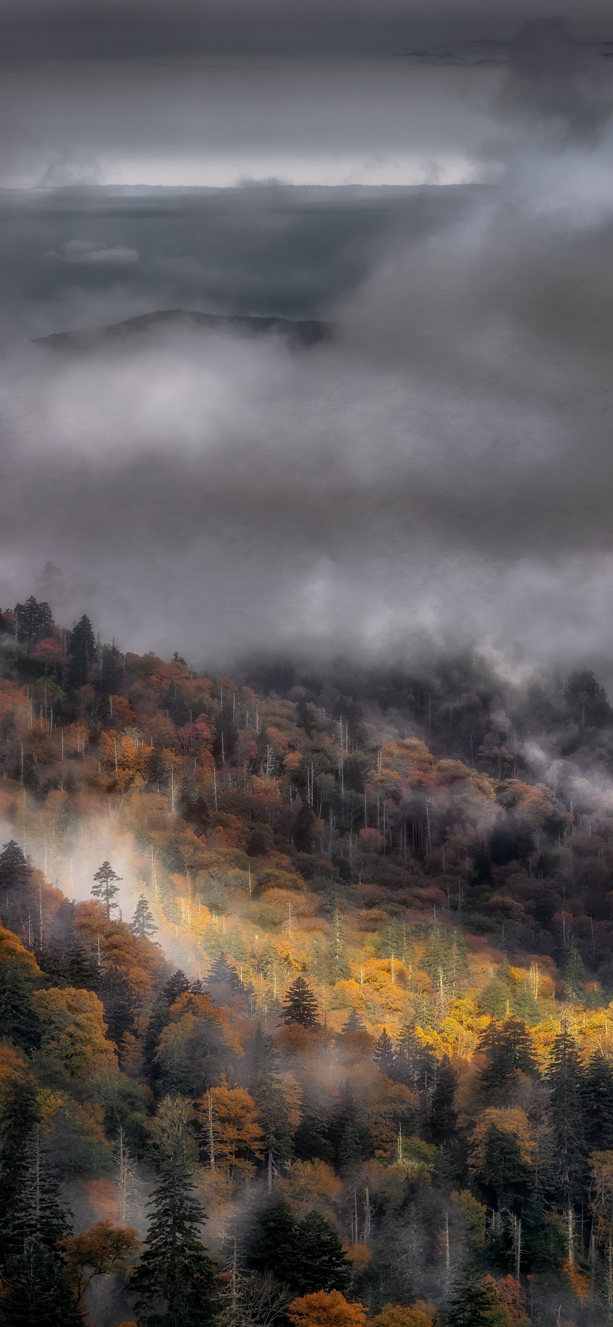 Atmosphäre, Cloud, Ökoregion, Naturlandschaft, Sonnenlicht. Wallpaper in 1242x2688 Resolution