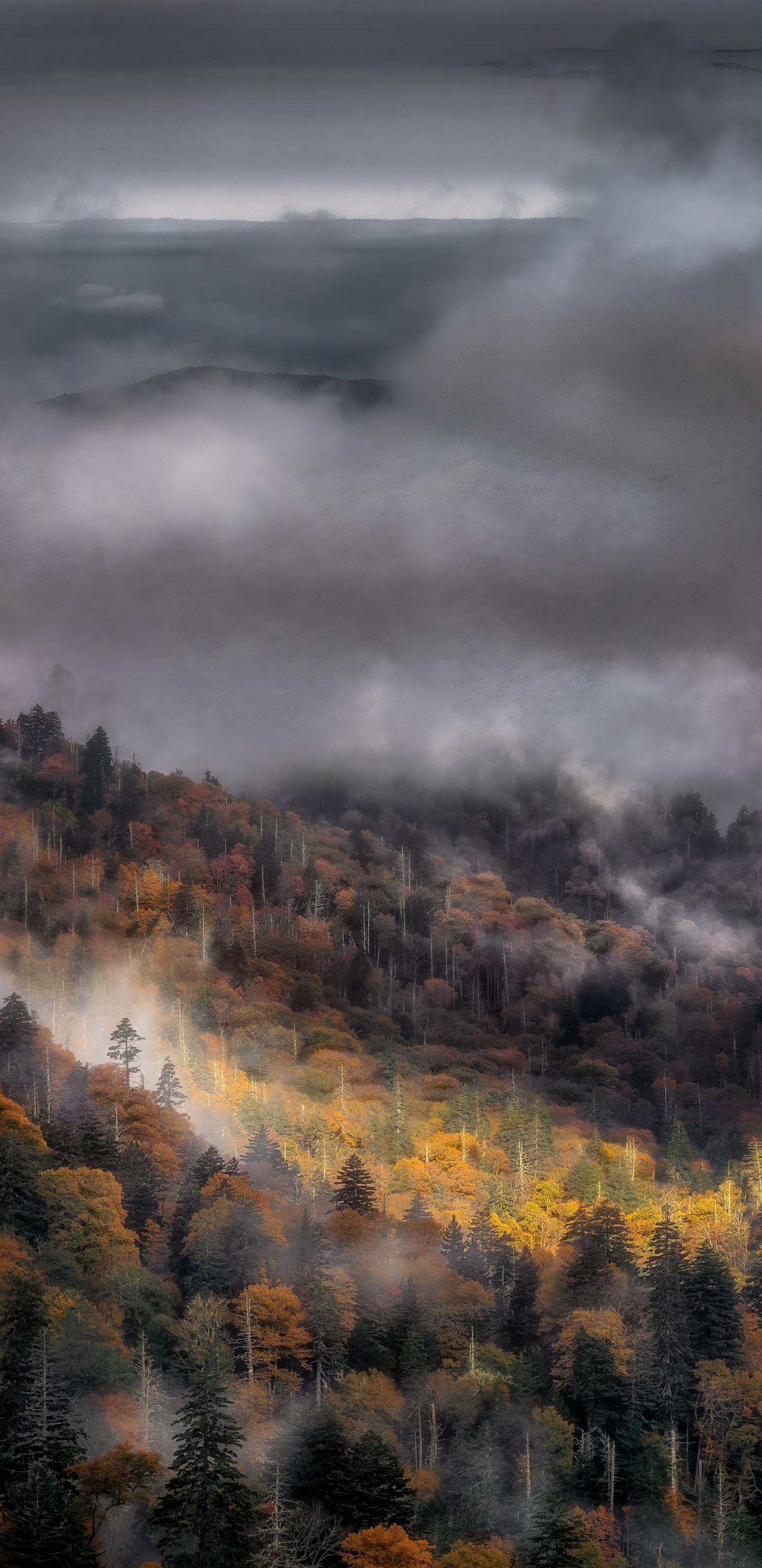 Atmosphere, Cloud, Ecoregion, Natural Landscape, Sunlight. Wallpaper in 1440x2960 Resolution