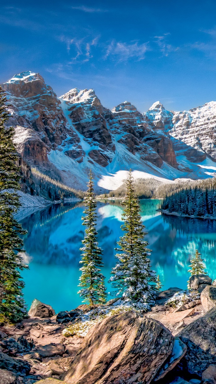 Green Pine Trees Near Lake and Snow Covered Mountains During Daytime. Wallpaper in 720x1280 Resolution