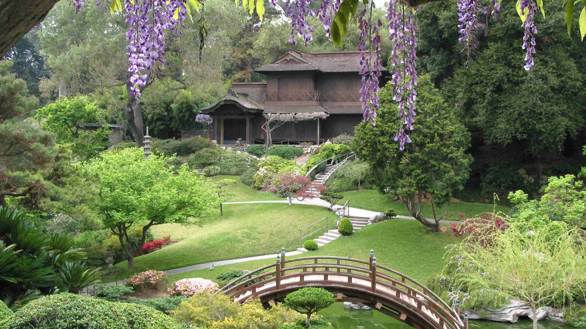 Puente de Madera Marrón Sobre Campo de Hierba Verde. Wallpaper in 1920x1080 Resolution