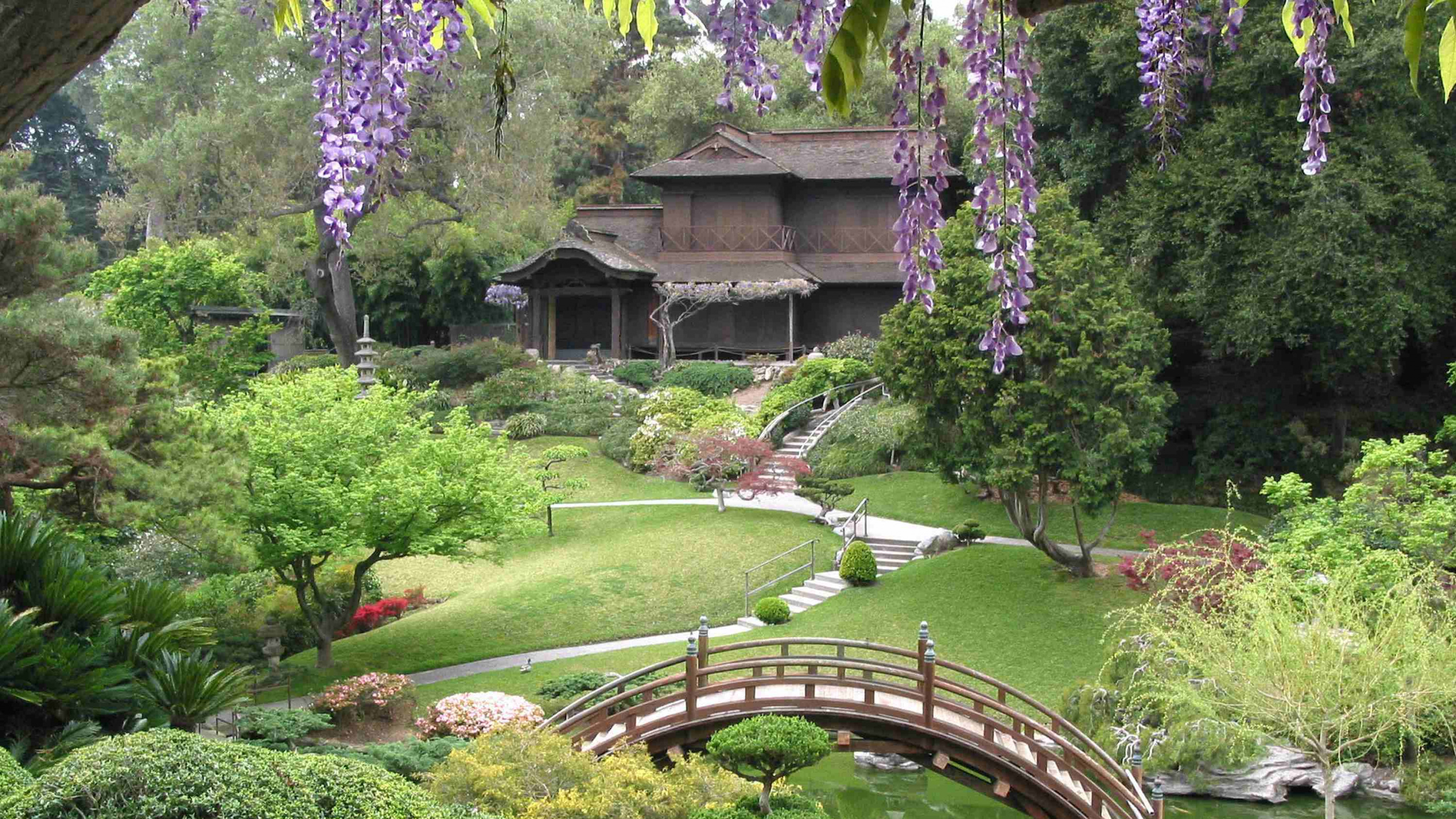 Puente de Madera Marrón Sobre Campo de Hierba Verde. Wallpaper in 2560x1440 Resolution