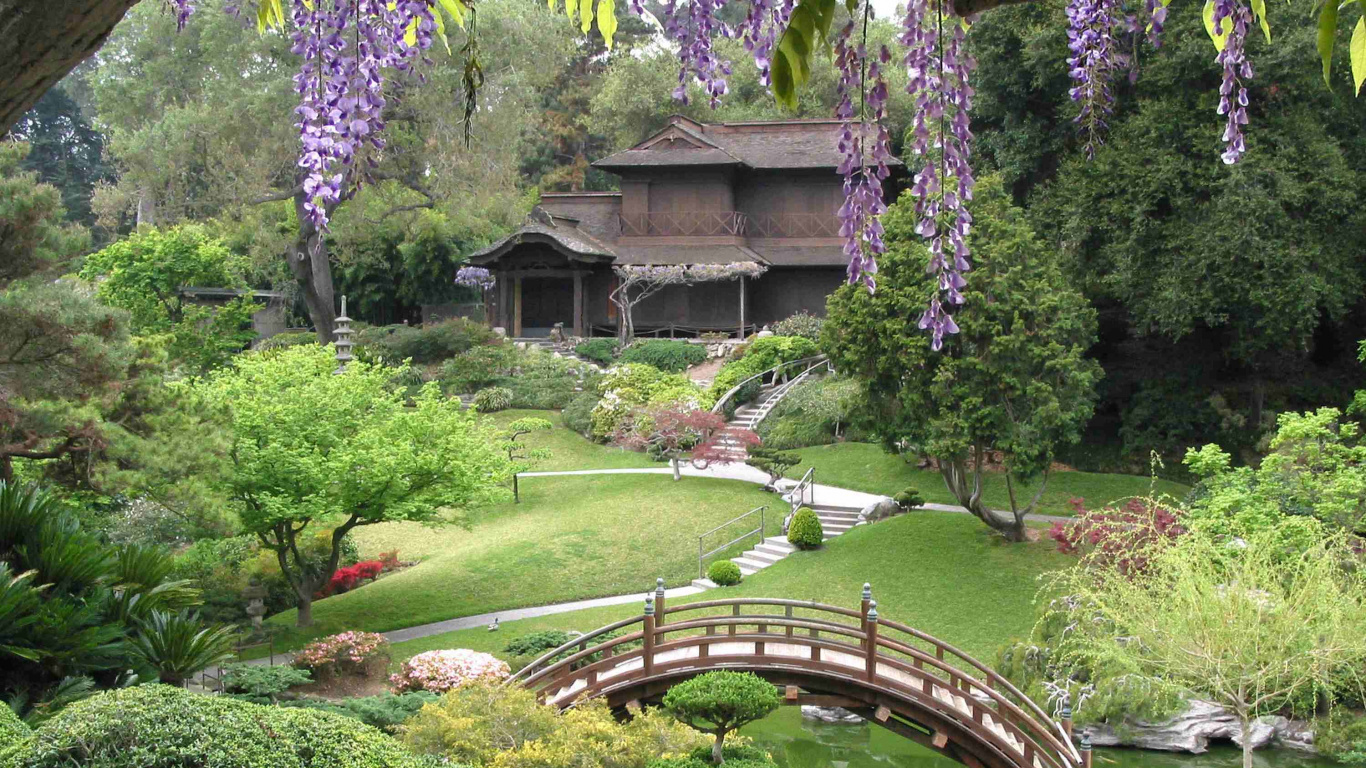 Braune Holzbrücke Über Grüne Wiese Grass. Wallpaper in 1366x768 Resolution