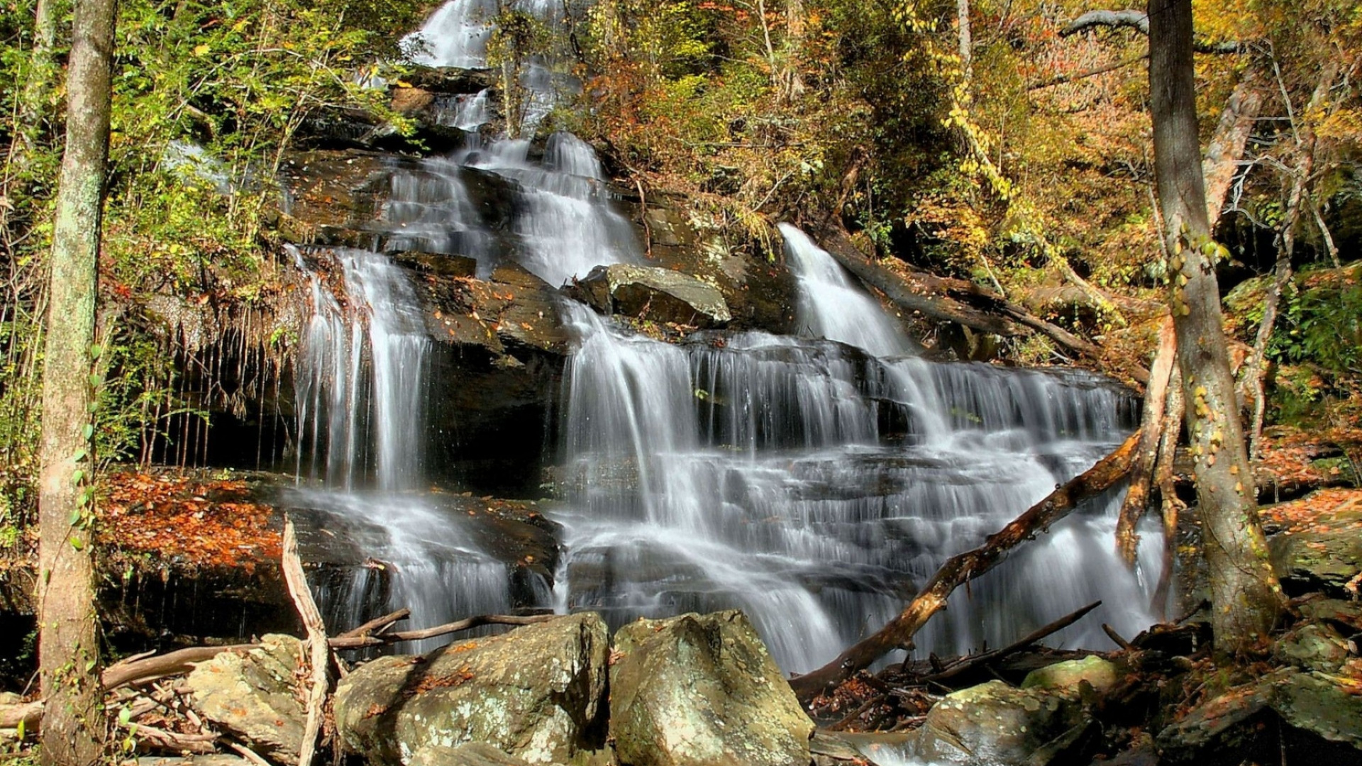 Water Falls in Forest During Daytime. Wallpaper in 1920x1080 Resolution