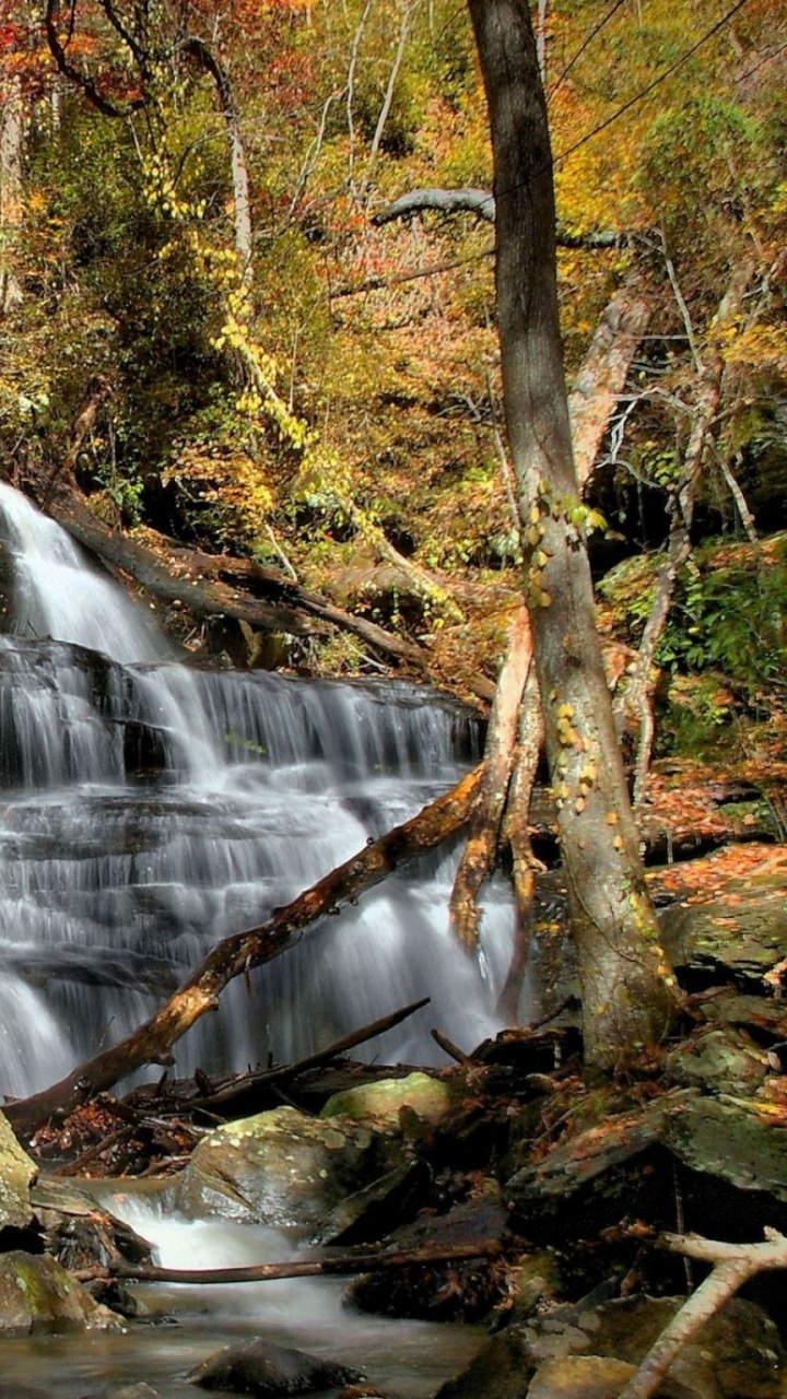 Water Falls in Forest During Daytime. Wallpaper in 720x1280 Resolution