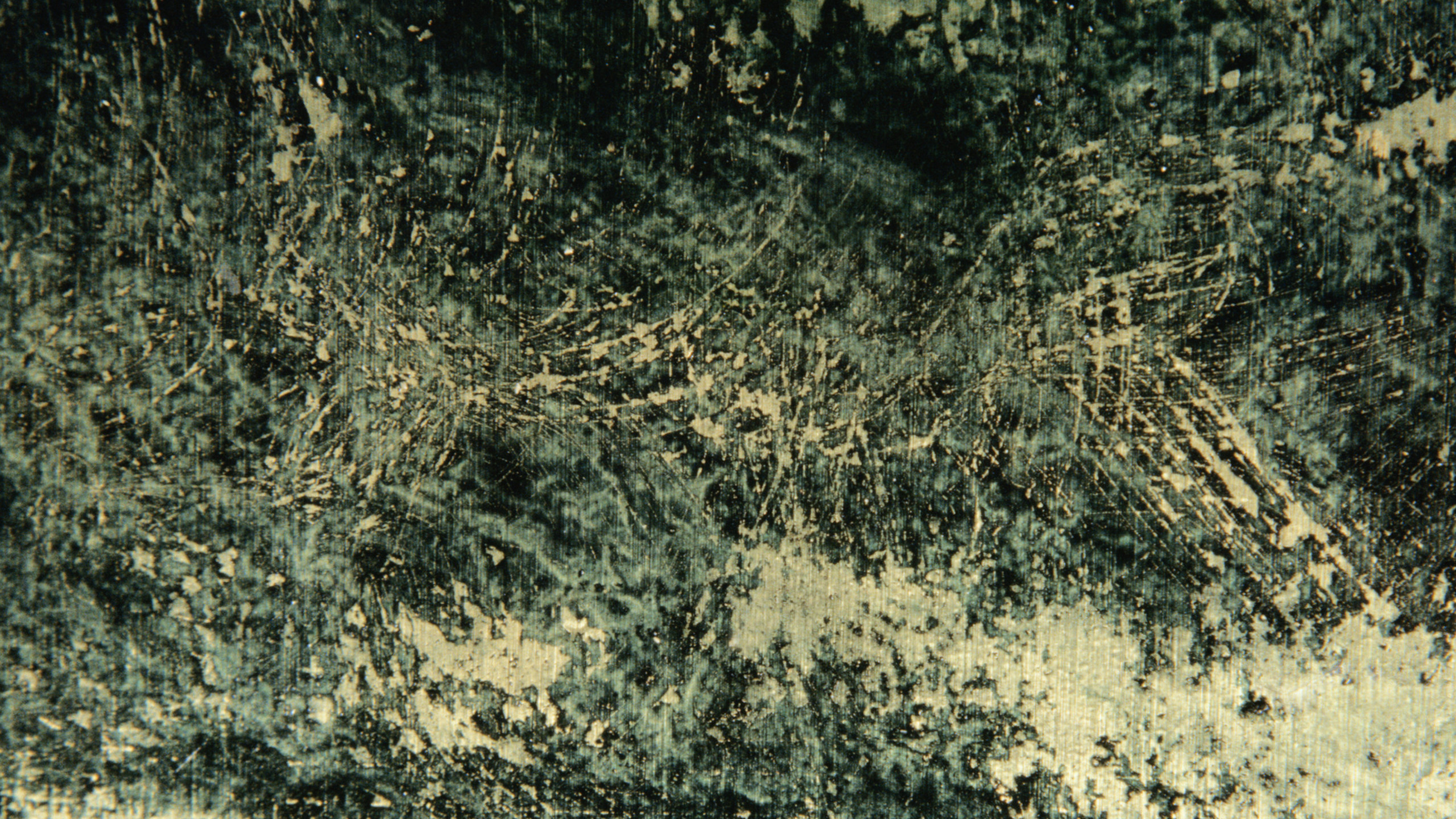 植被, 草, 的土壤, 本书, 工厂 壁纸 2560x1440 允许