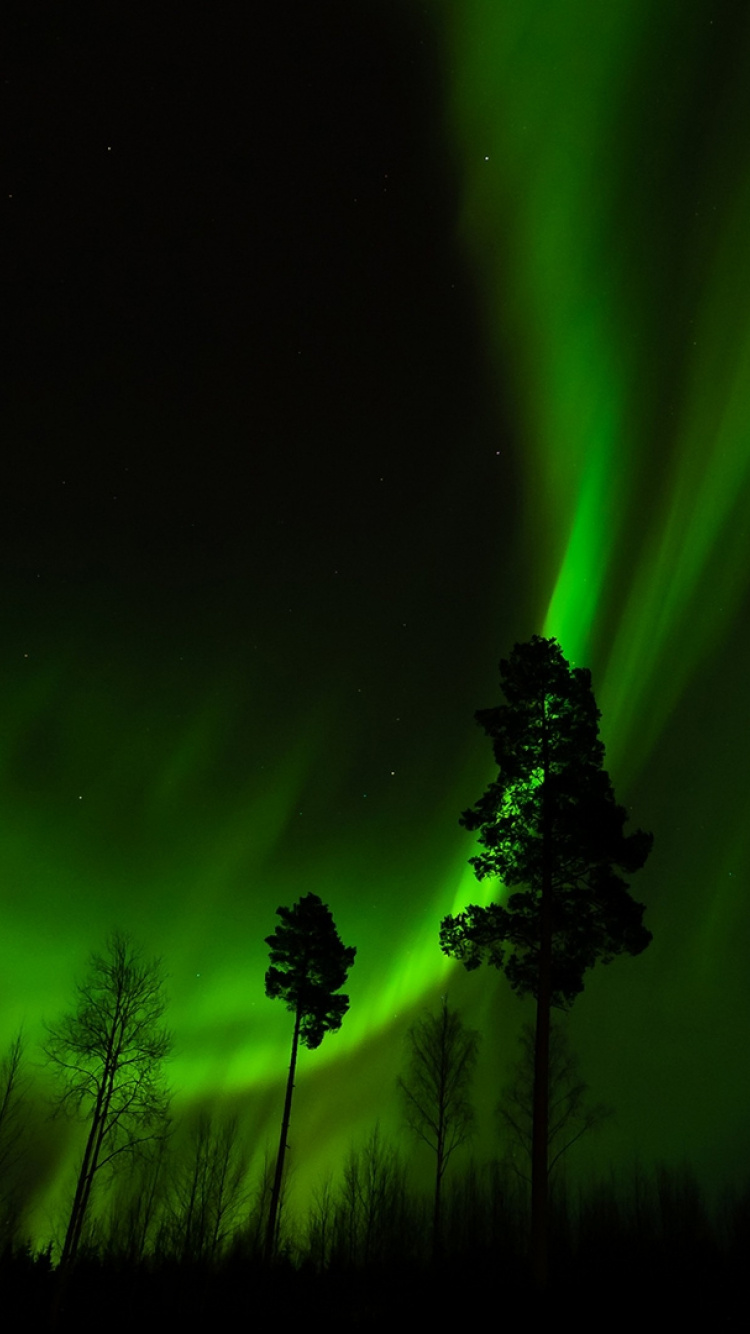 Aurora, Green, Nature, Lumière, Nuit. Wallpaper in 750x1334 Resolution